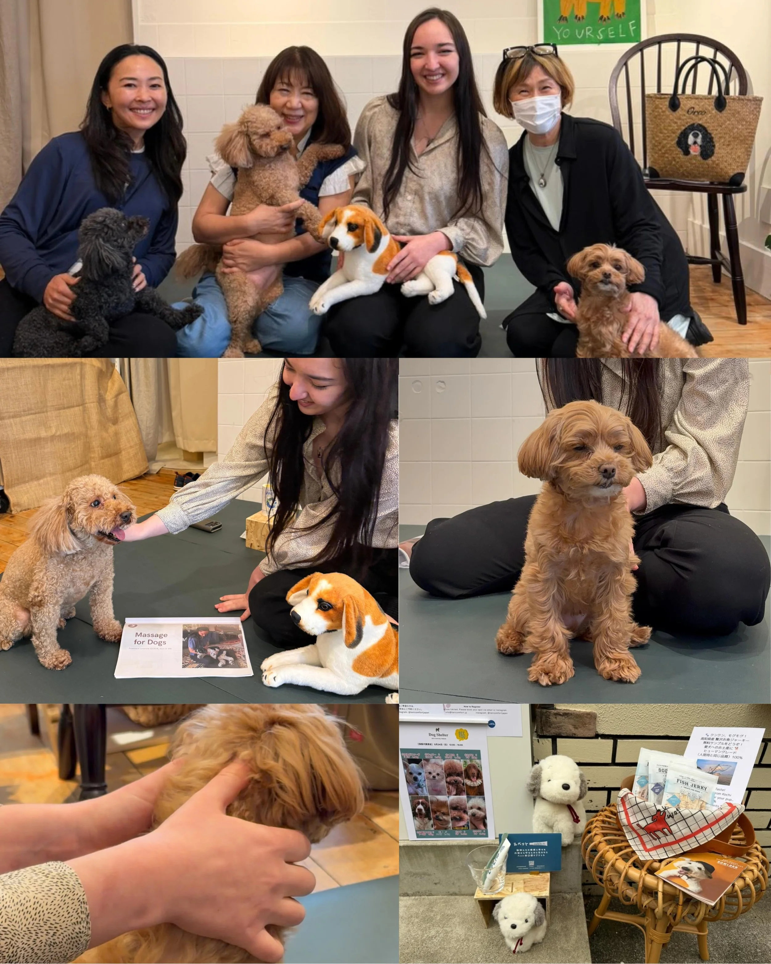 Last month I presented a dog massage workshop for a charity event and attended a local shelter rehoming event in Tokyo at @tani.daikanyama , alongside @lupetto_jp and @dogshelter_hp . Such an amazing opportunity! 

It was a privilege to get to know p