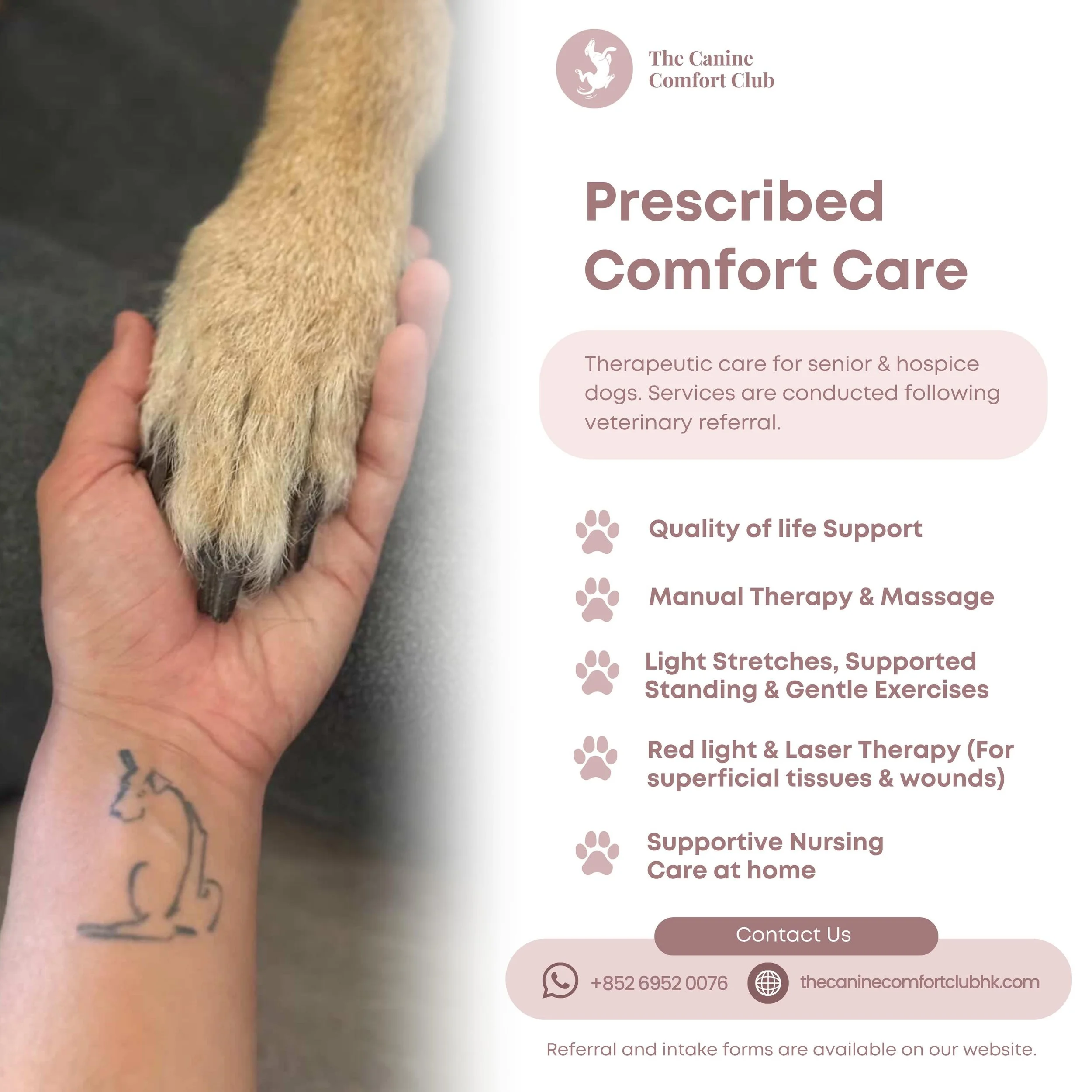 The Canine Comfort Club provides veterinary-directed therapeutic support for geriatric, mobility-compromised, and end-of-life hospice patients.

Services include gentle massage, prescribed modalities, thermotherapy, passive range of motion with weigh