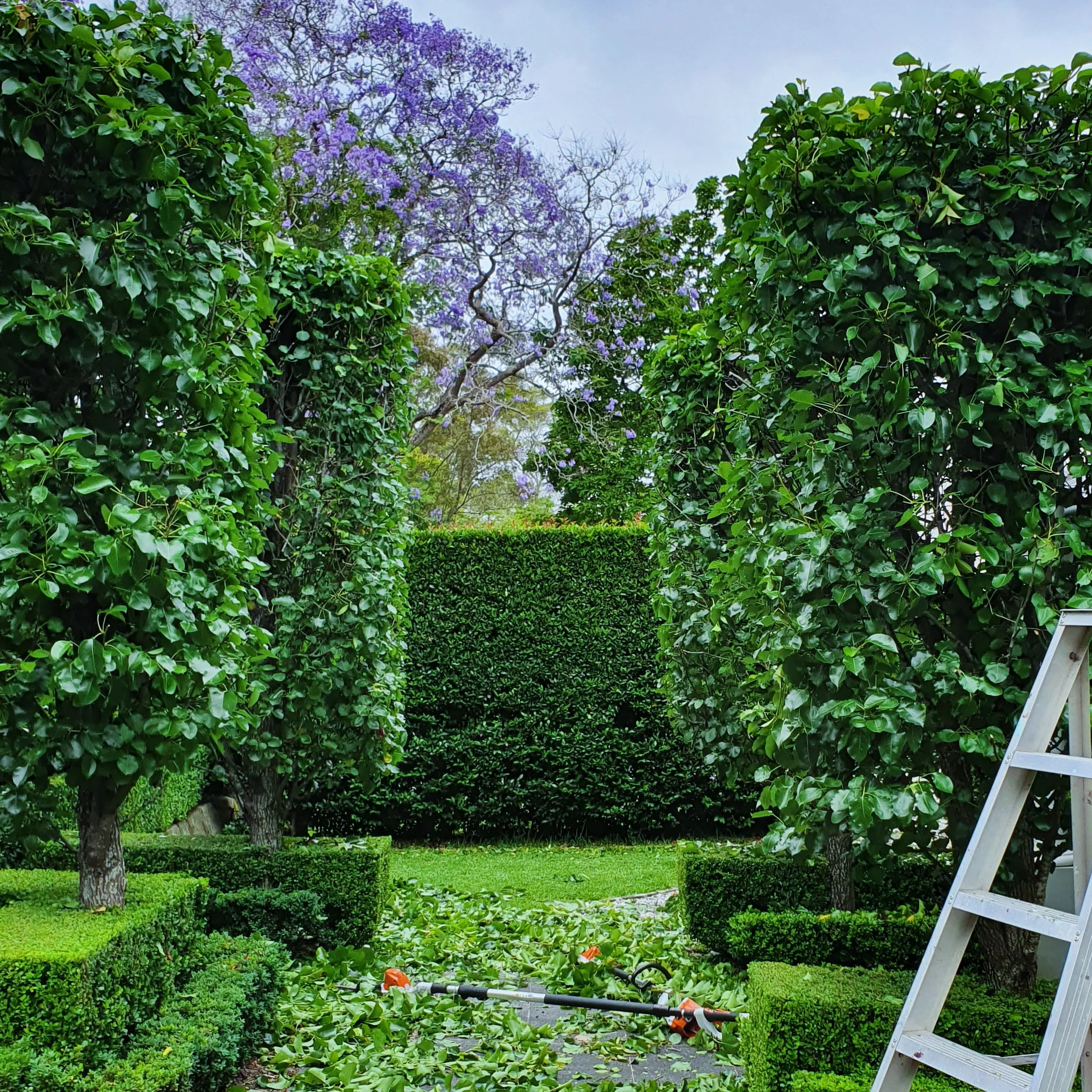 20211204_005043000_iOS 1.jpg