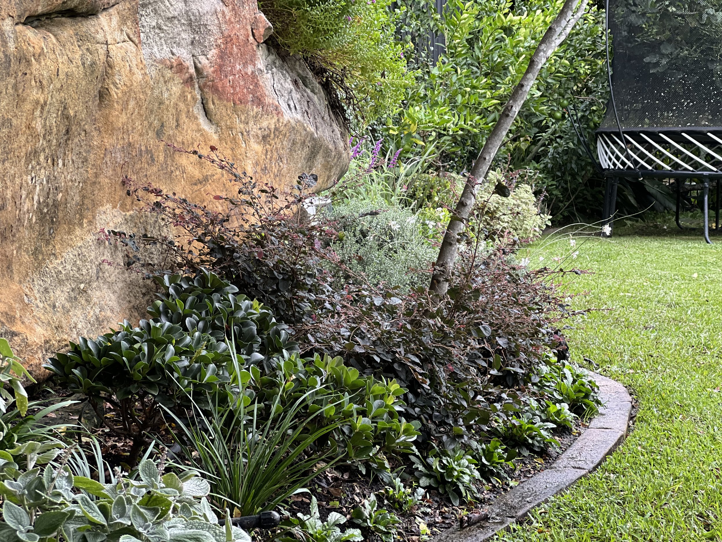 landscape design newcastle designer gardens horticulture garden design