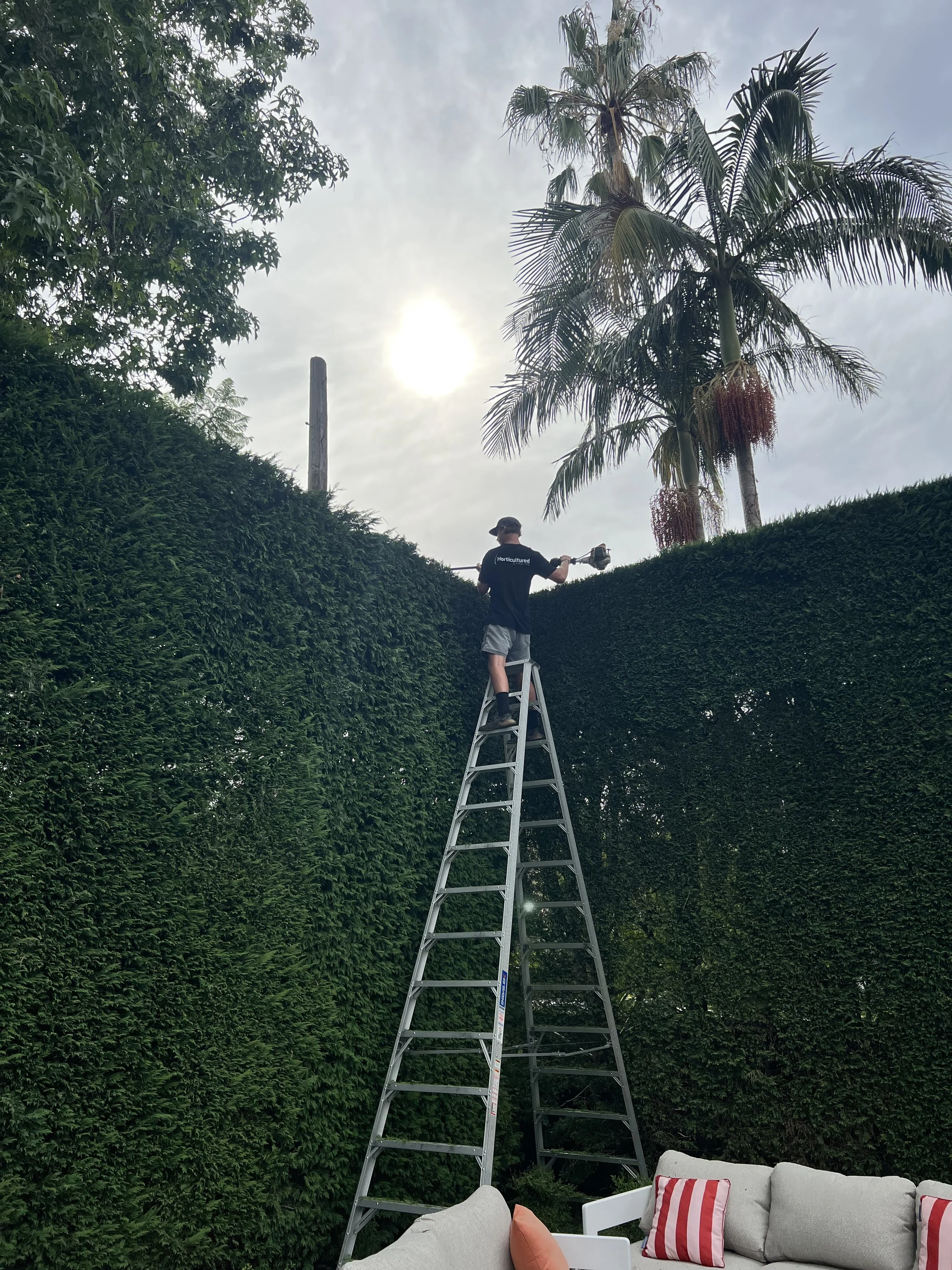 garden maintenance services newcastle and lake macquarie