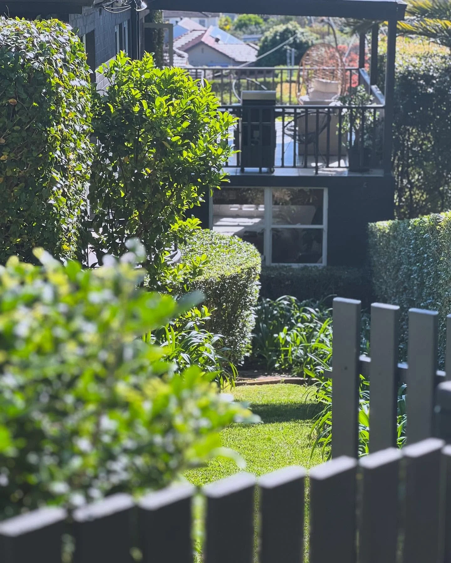 Warming up at our Lane Cove garden. #horticultured