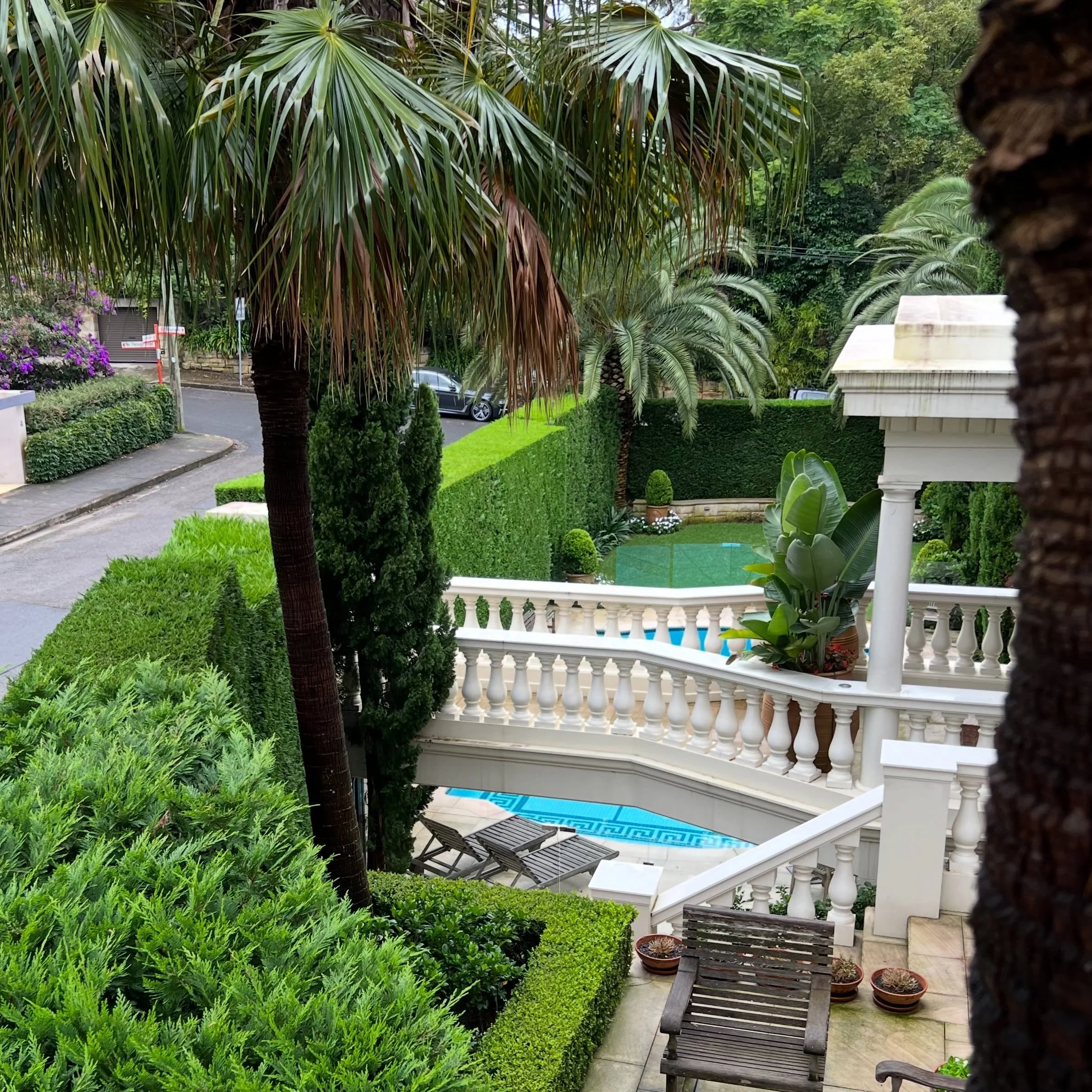 Birds Eye of Kurraba 🍃 #hedging #hedgelover #conifer #sydneygardens #formalgarden
