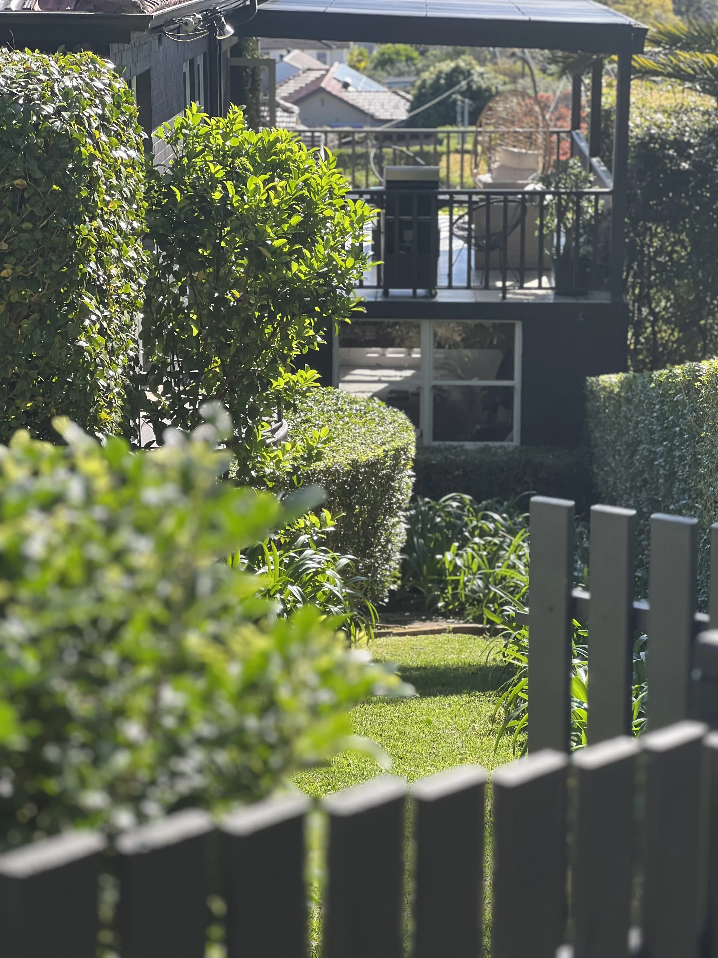 hedge pruning and shaping horticulture and garden maintenance newcastle
