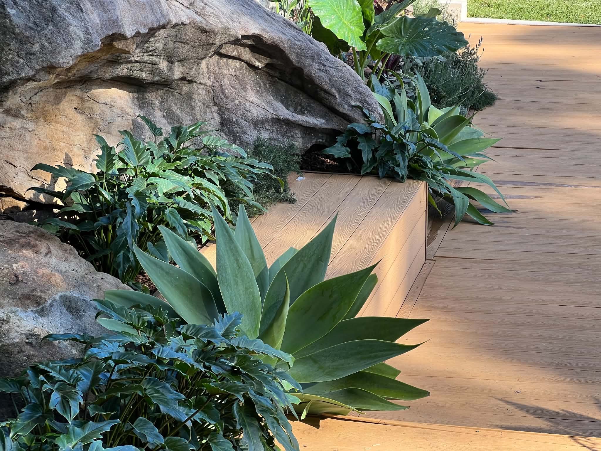 Garden-design-newcastle.jpeg.jpg
