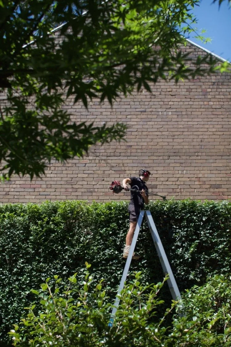 me on ladder brick wall.jpg