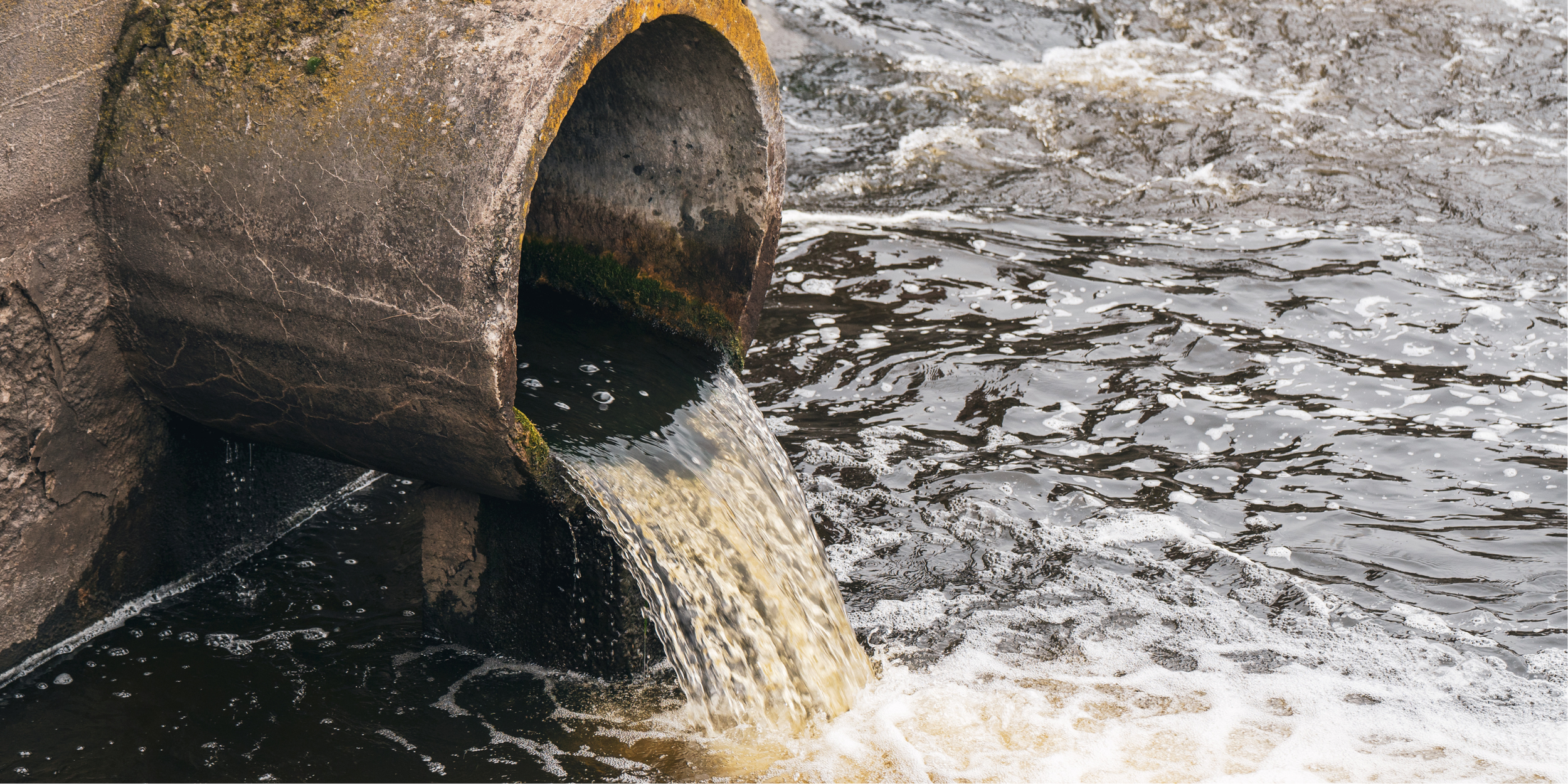 Report into Dry Spills in Leicestershire: A Forensic Analysis of Severn Trent Water’s EIR Response