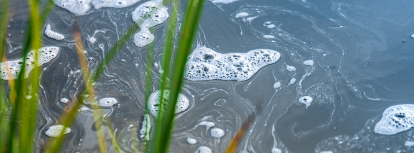 A New Vision for Water? What the Government’s White Paper Really Means for Our Rivers