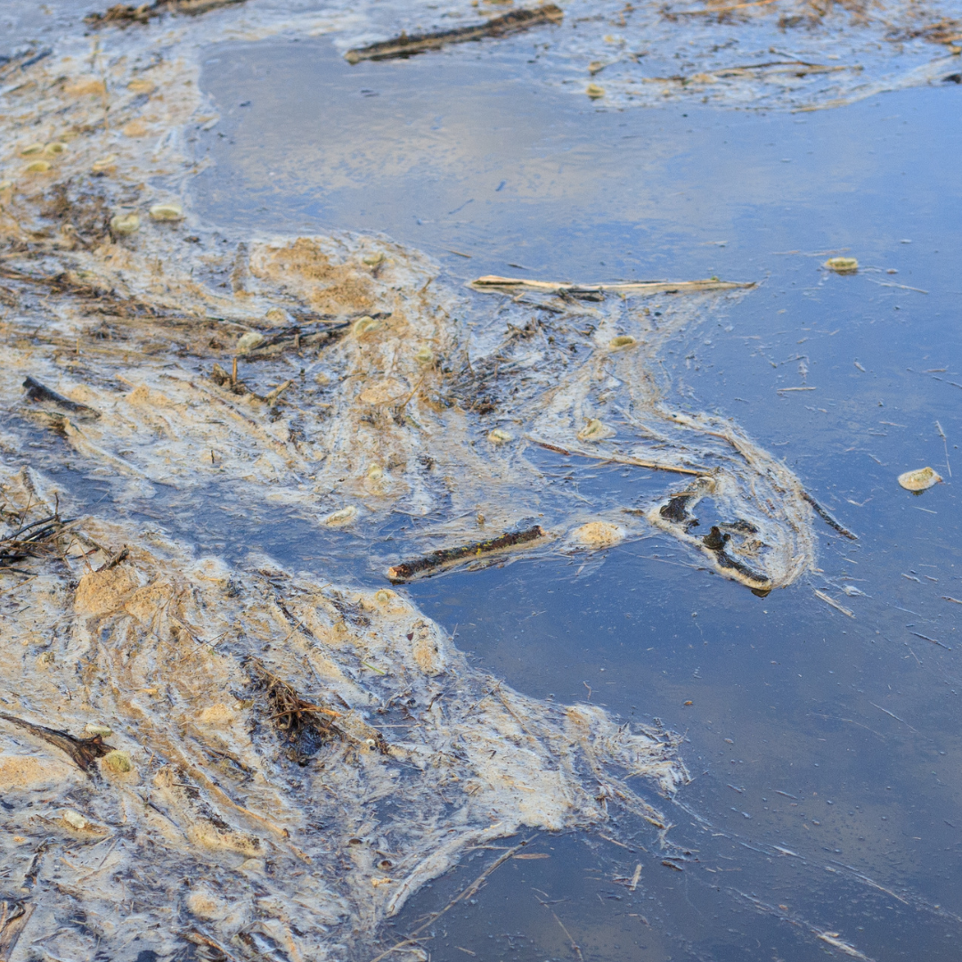 Why Severn Trent’s soaring executive bonuses matter and what they say about our rivers