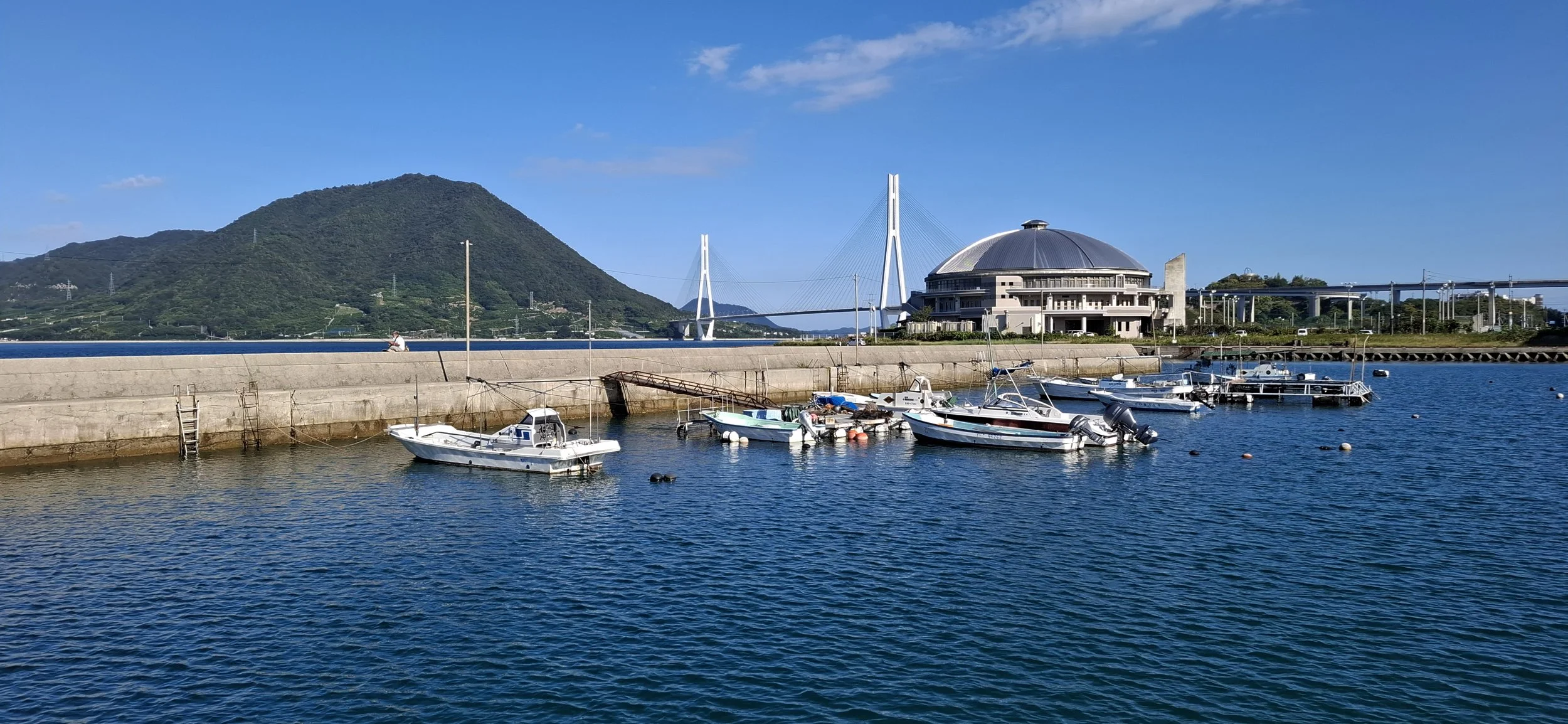 20251010_151100 (1).jpg