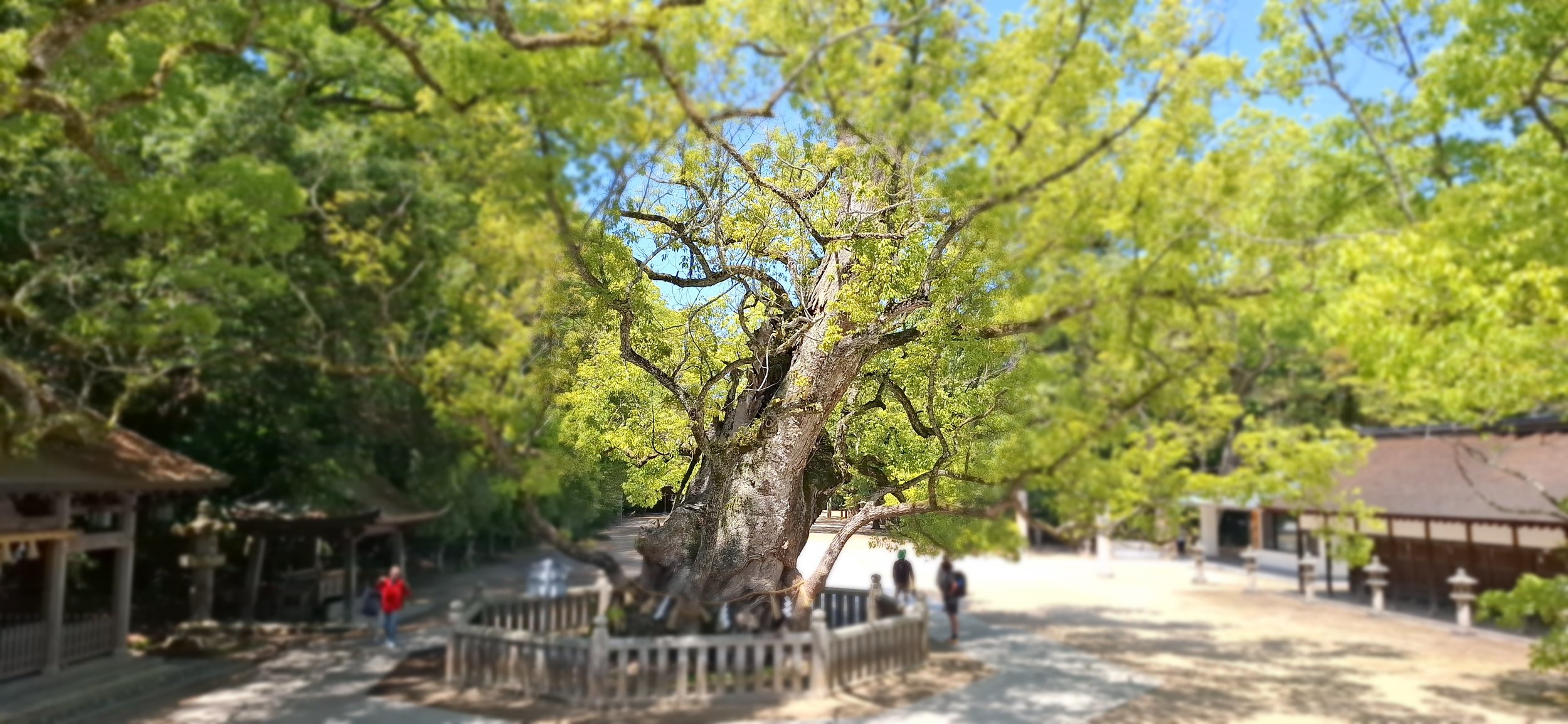 20250508_110926 (1).jpg