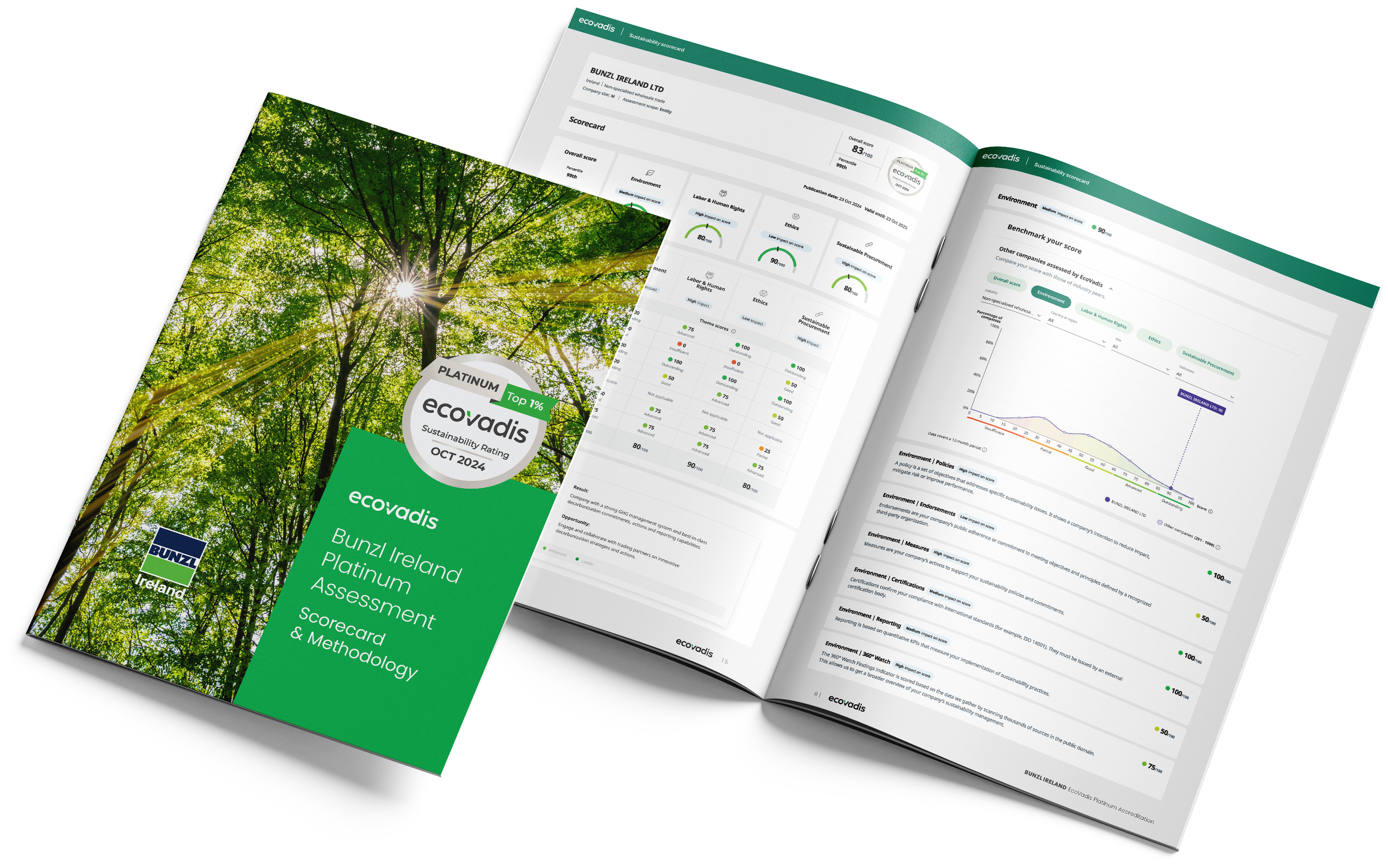 Bunzl Ireland EcoVadis Platinum Accreditation Brochure