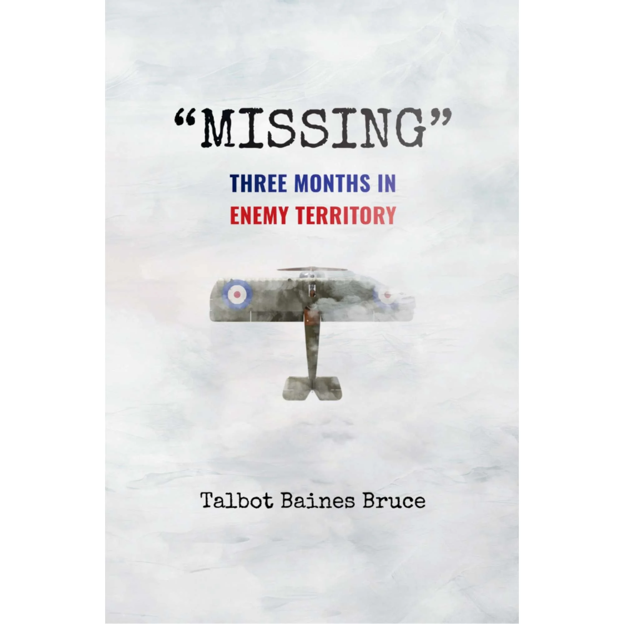 Missing: Three Months in Enemy Territory