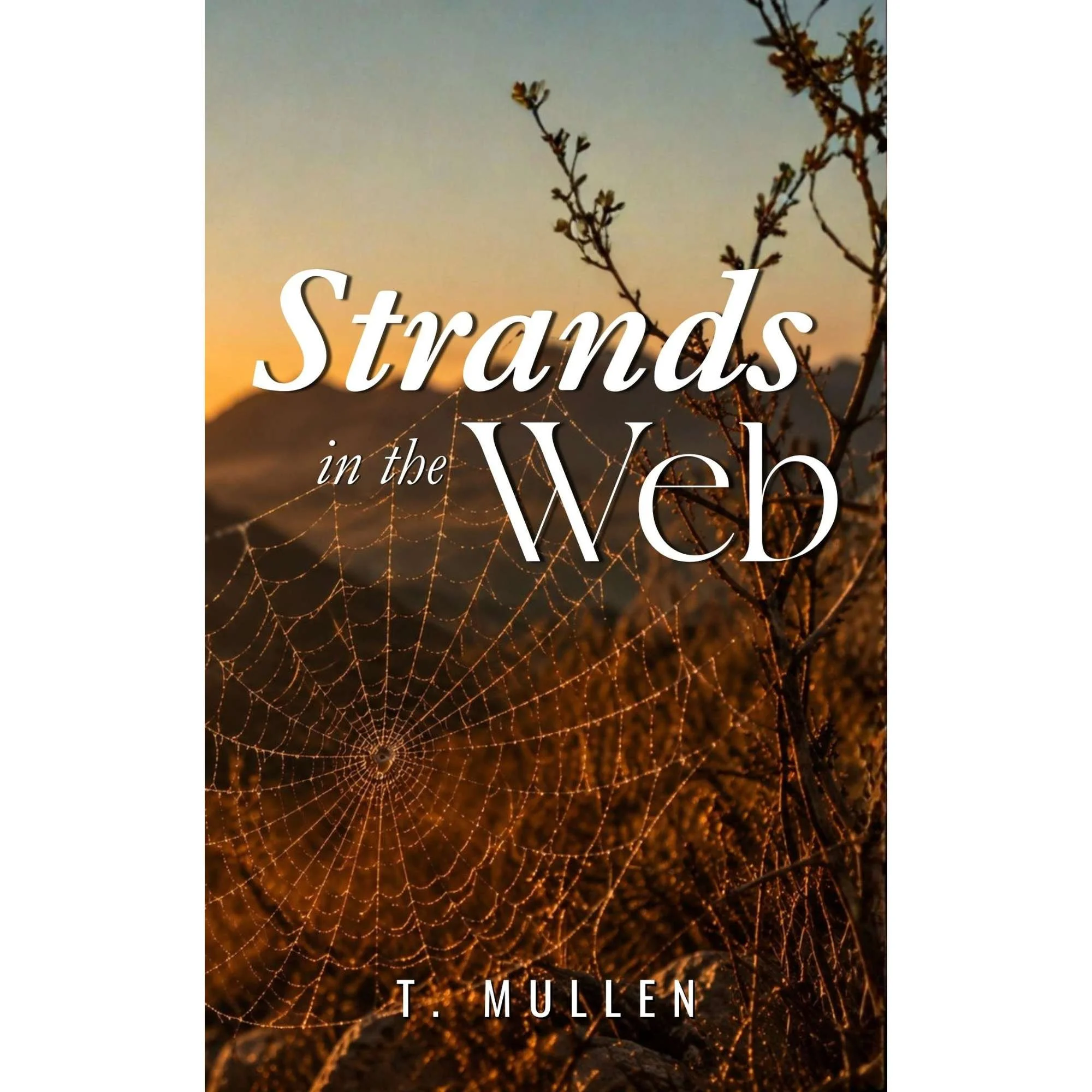 Canva Cover - Strands in the Web 100926.jpg