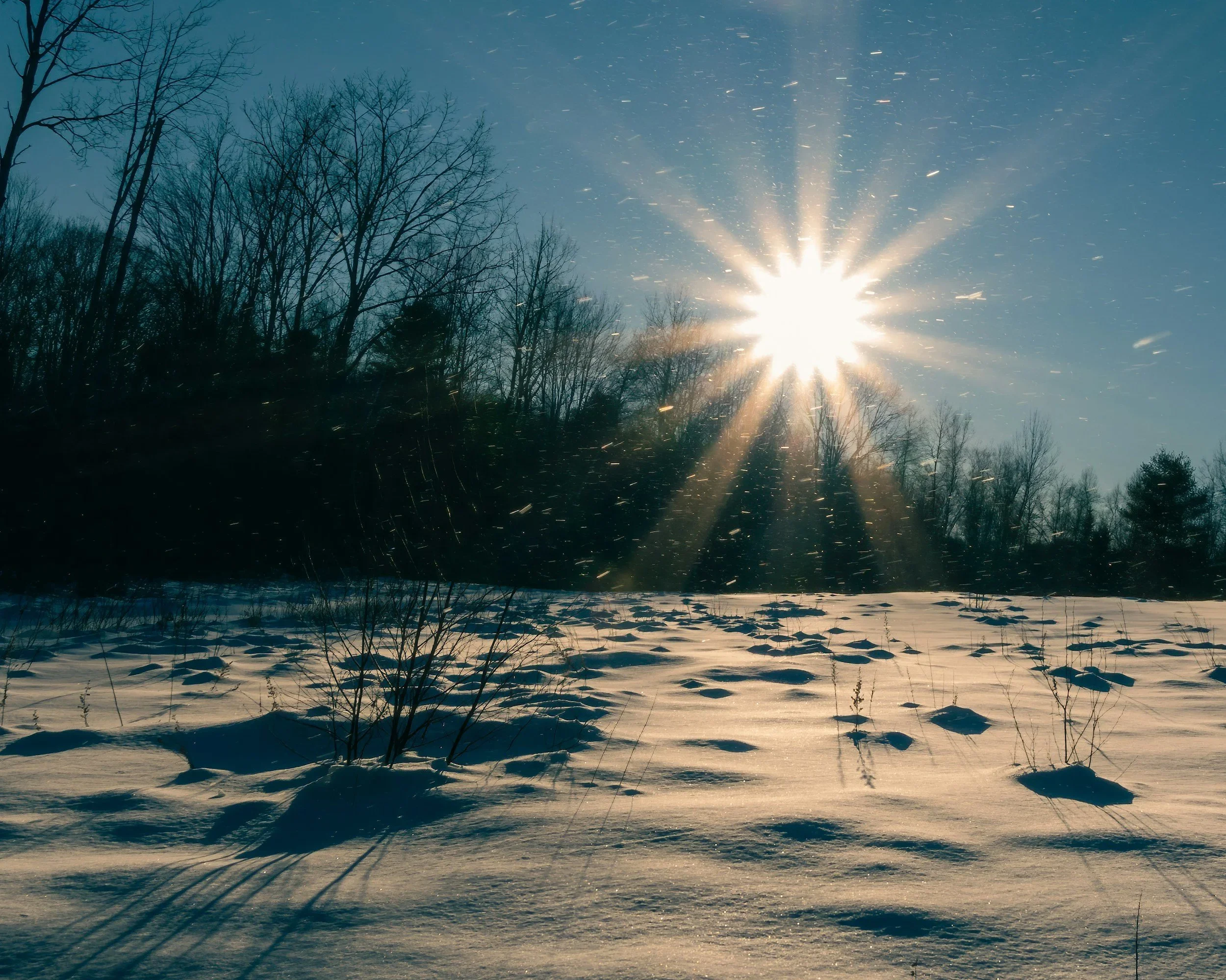 Staying Grounded Through Change