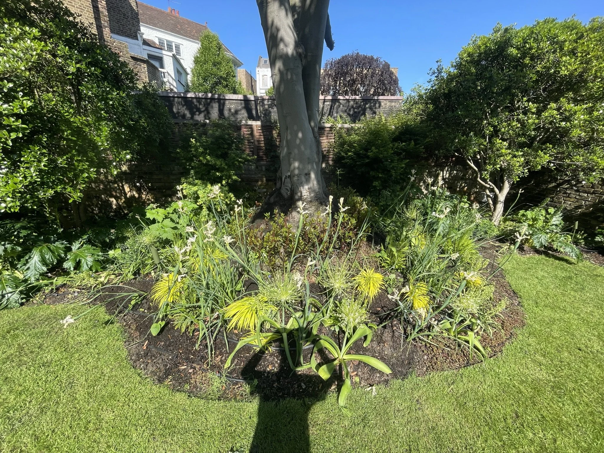 garden maintenance Ealing.JPEG