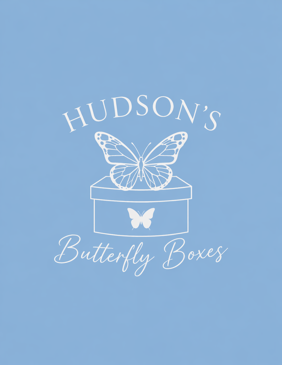 Light blue background with white text and graphic of a butterfly emerging from a box. Text reads 'Hudson's Butterfly Boxes'.