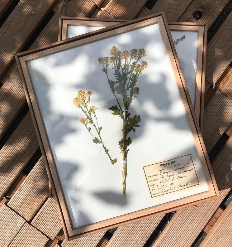 L'Herbier perpétuel de Praz-sur-Arly