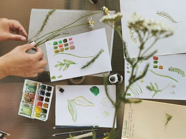 Ateliers créatifs · AQUARELLE &amp; BOTANIQUE AVEC Nicolas Gilormini