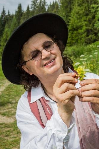 Brief du chef  : les plantes comestibles du chaudron sauvage 