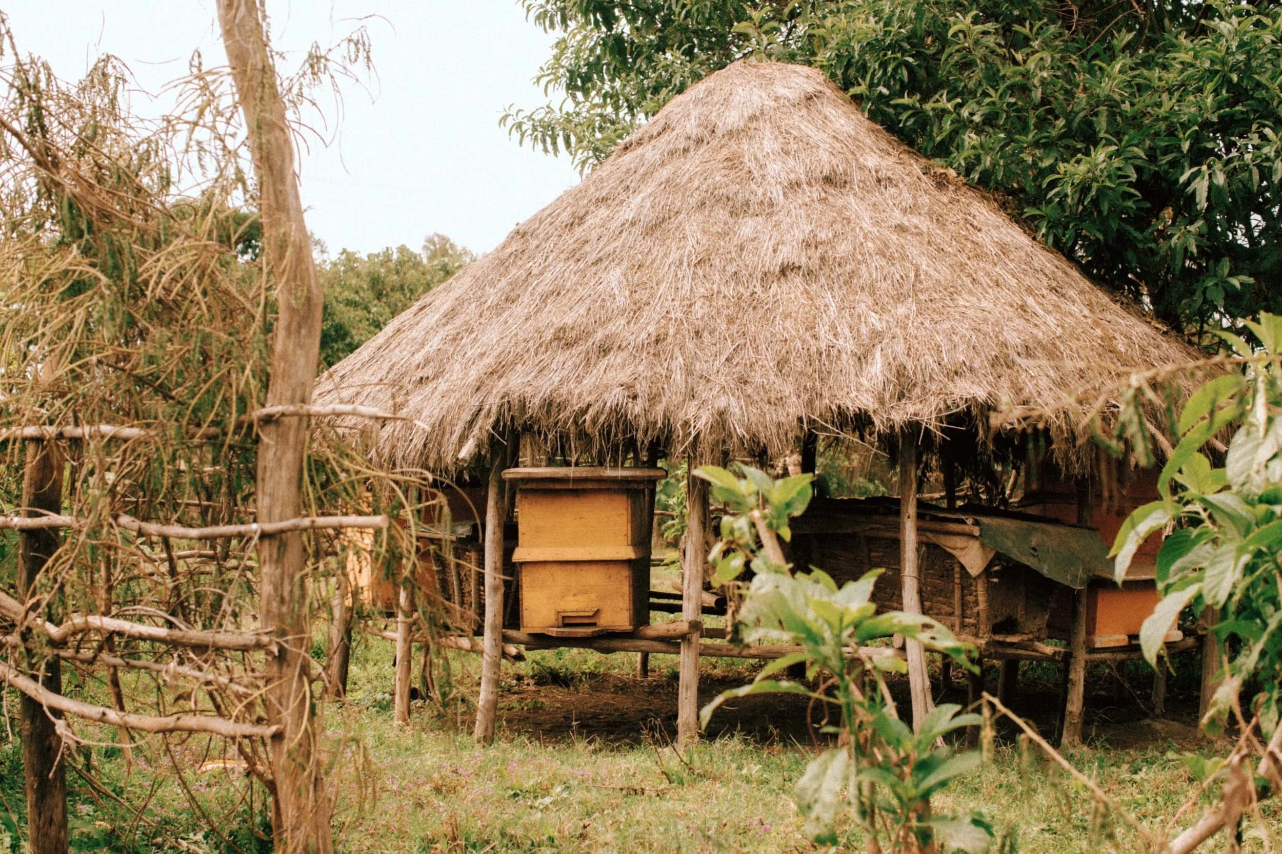 Ethiopia-Oxfam-2017-2344.jpg