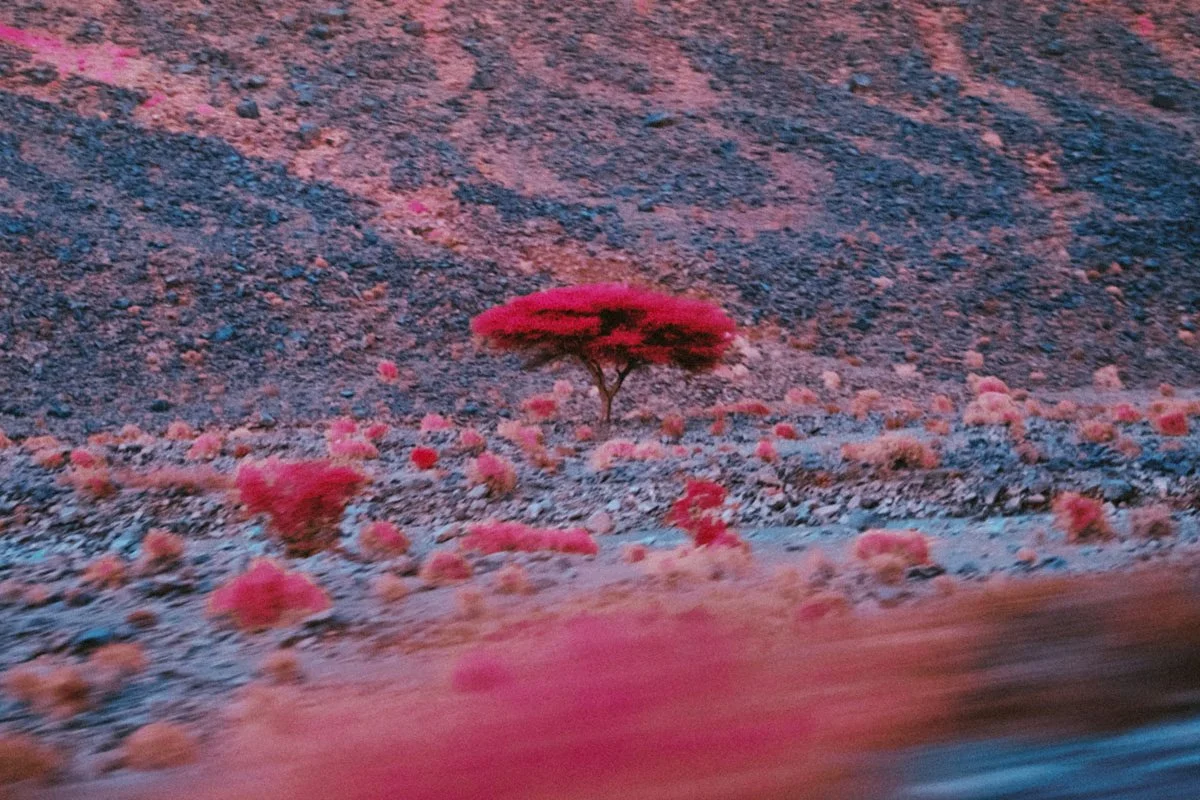 O'Flynn - Kairos album artwork infrared photography