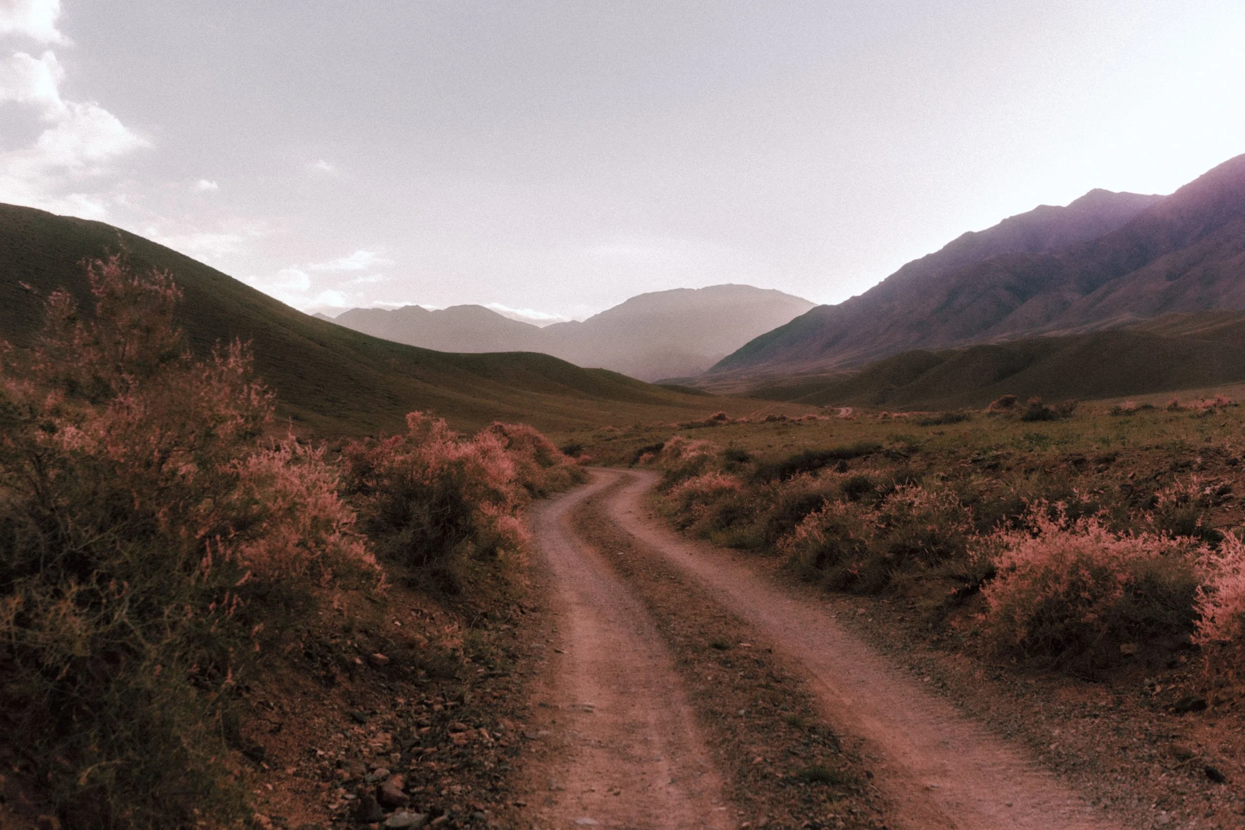 Kazakhstan-Mountain-Bike-2015-Dan-Medhurst-1751.jpg