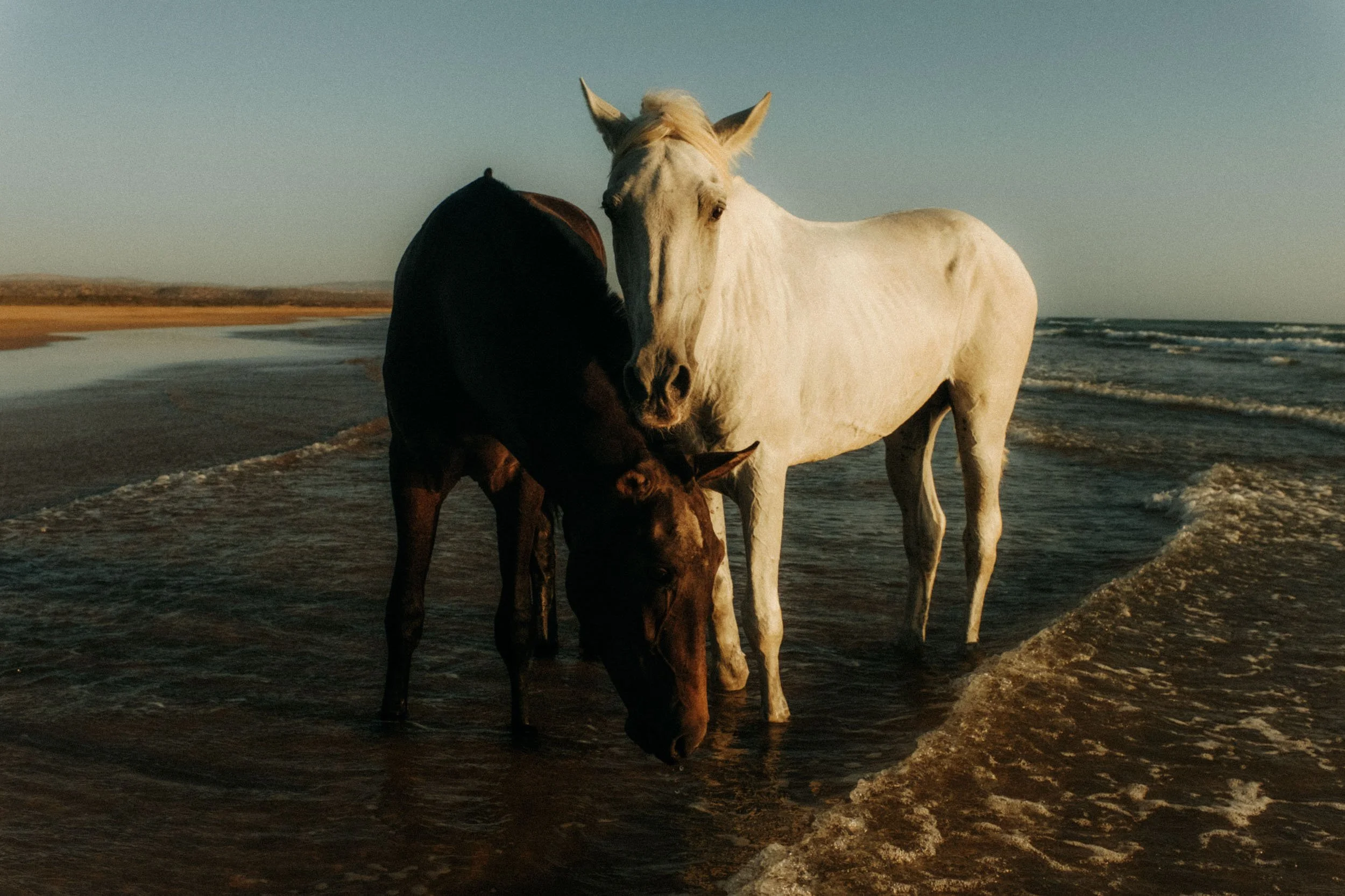 Horseman-Mohamed-Dan-Medhurst-6545.jpg