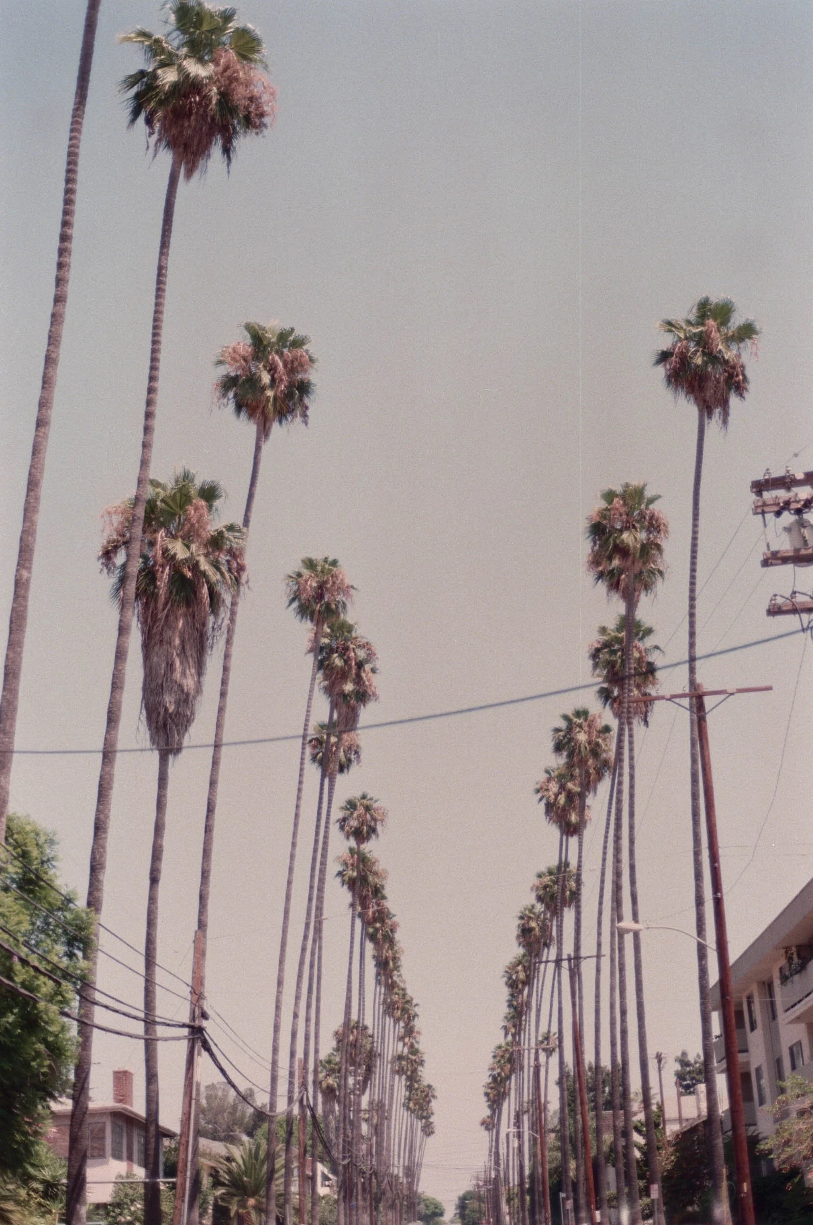 047_25A.jpg