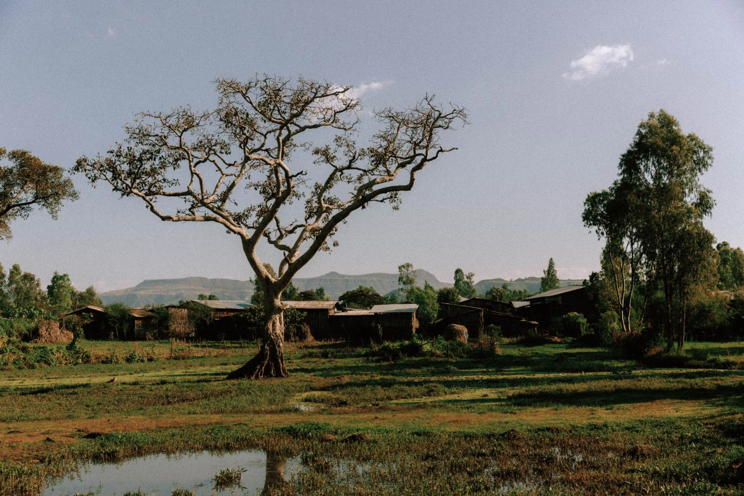 Ethiopia-Oxfam-2017-0775.jpg
