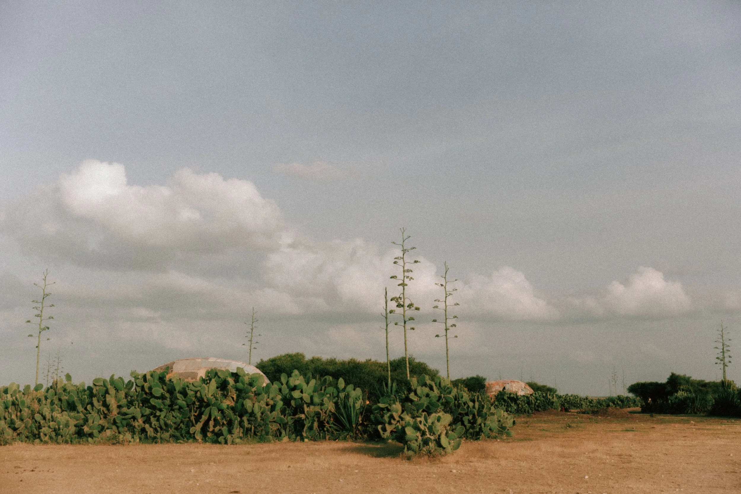 Ethiopia-Oxfam-2017-9930.jpg