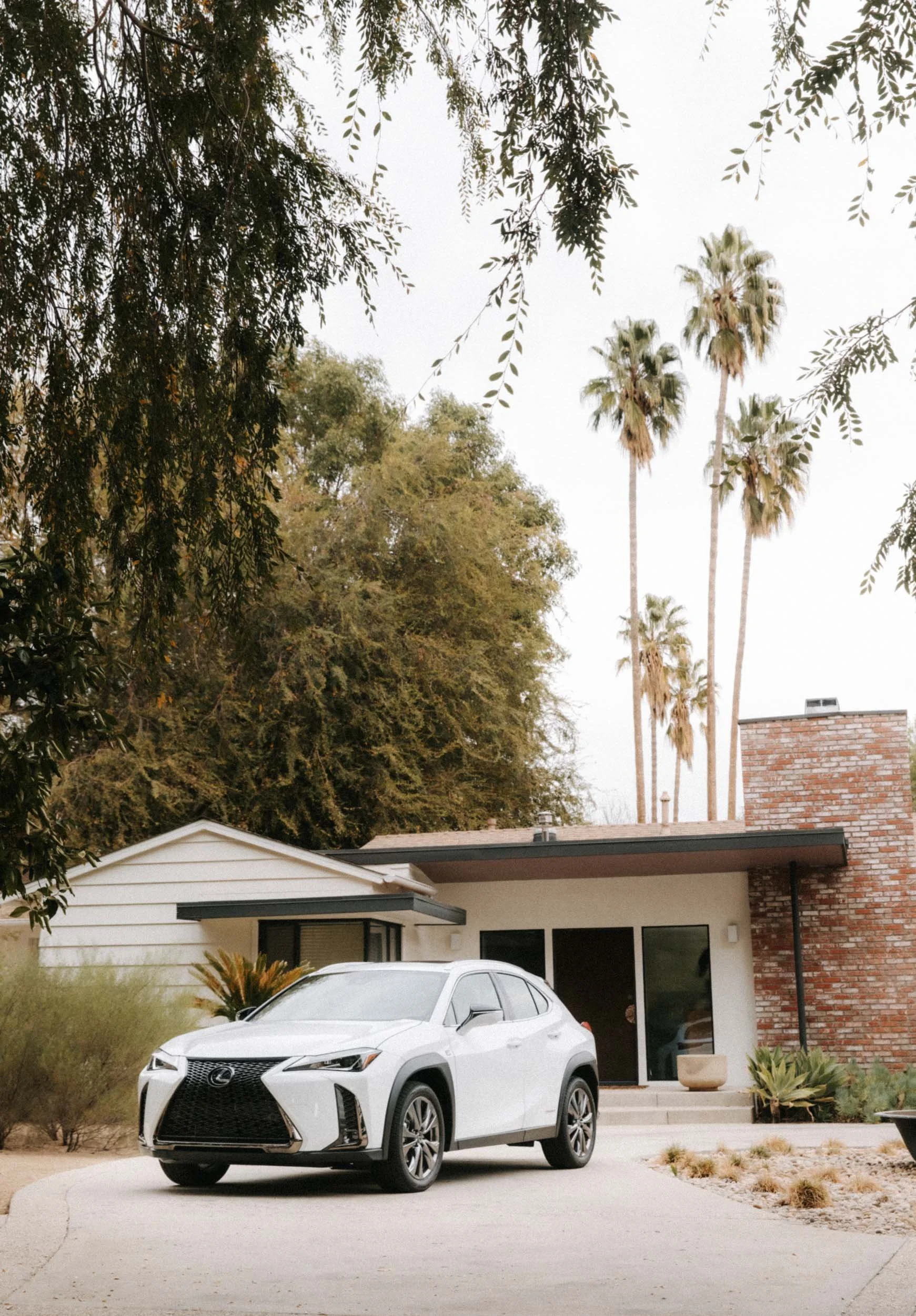 CN-Lexus-US-7338.jpg