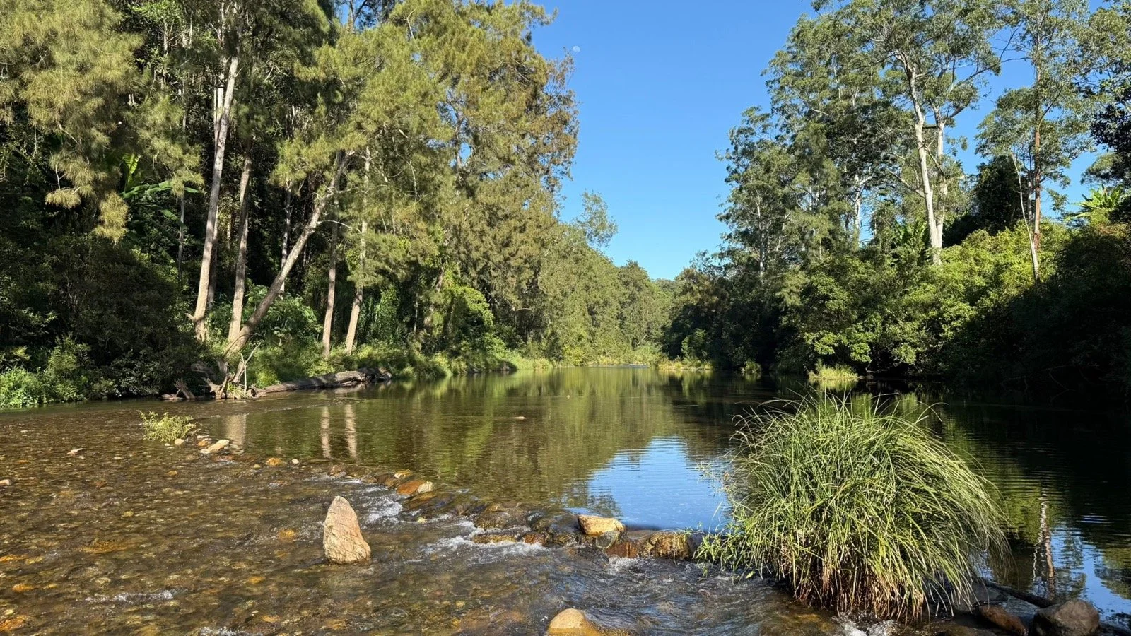 home creek.jpg