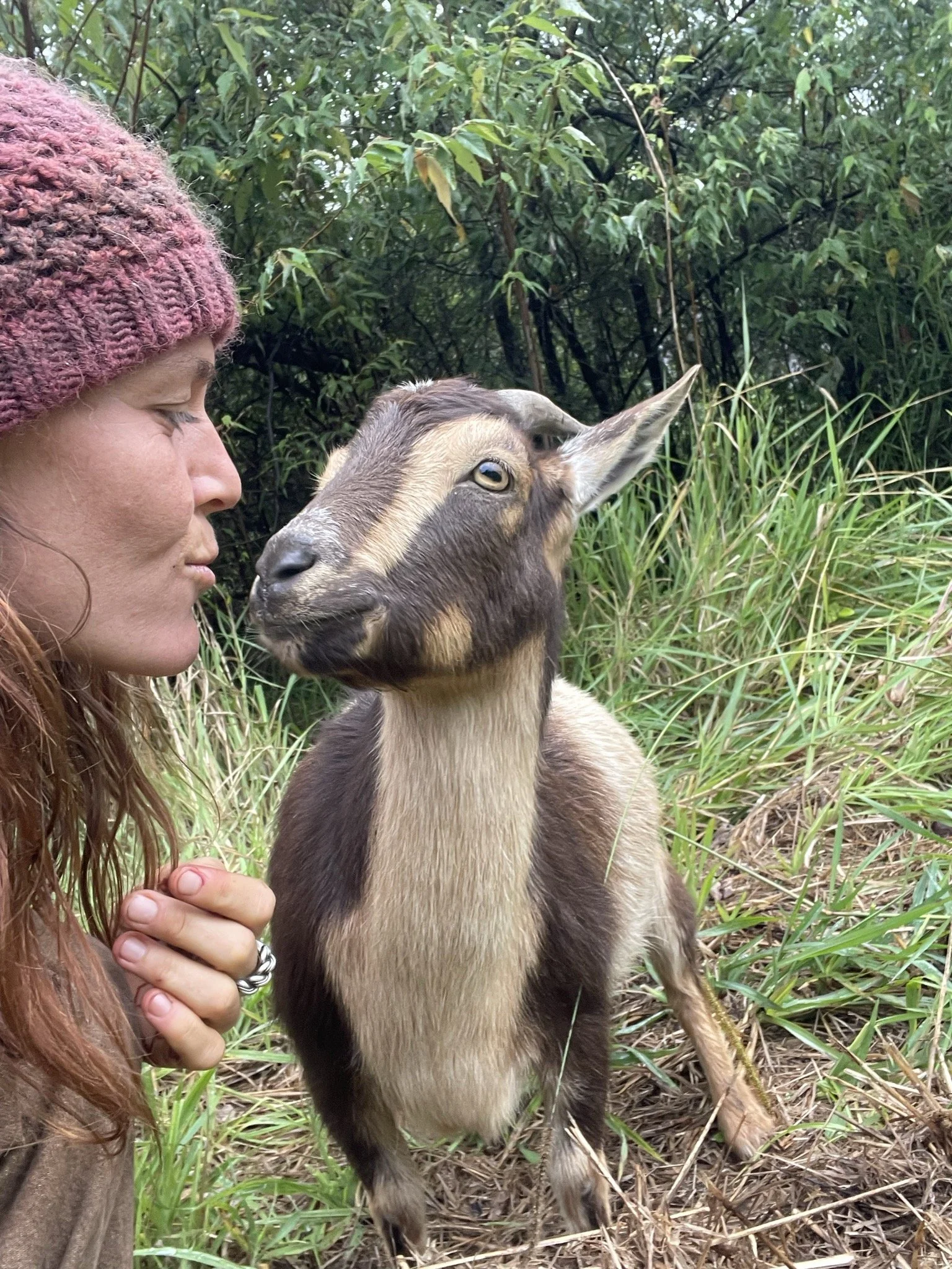 A woman with long red hair, wearing a pink knit hat, is interacting closely with a goat in a green, grassy area with bushes and trees in the background. The woman has her eyes closed and is making a kissing face at the goat, which is looking at her with alert eyes.