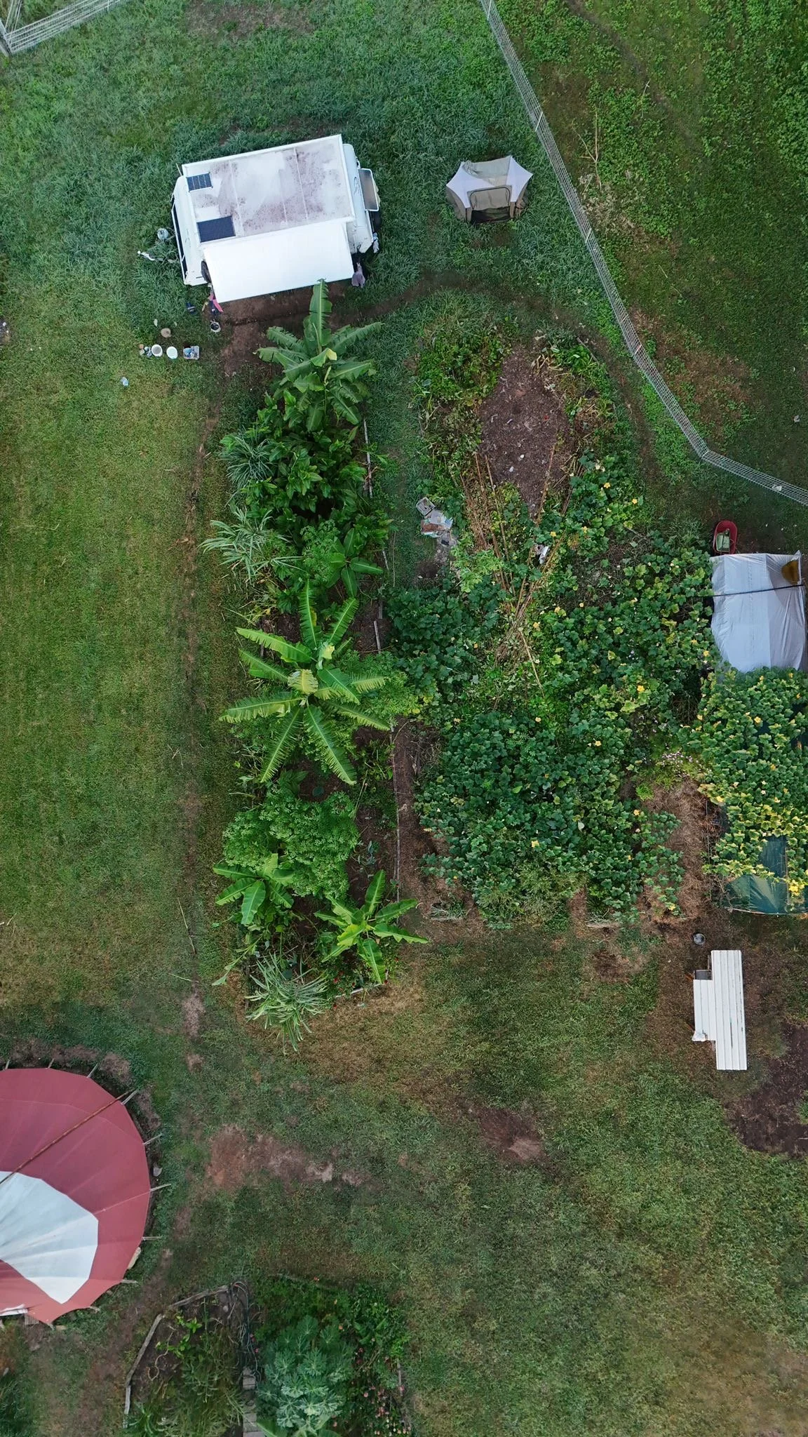 An aerial view of a backyard with a small white camper, a desk tent, a variety of plants including banana trees, garden beds, a white bench, and a red and white patio umbrella.