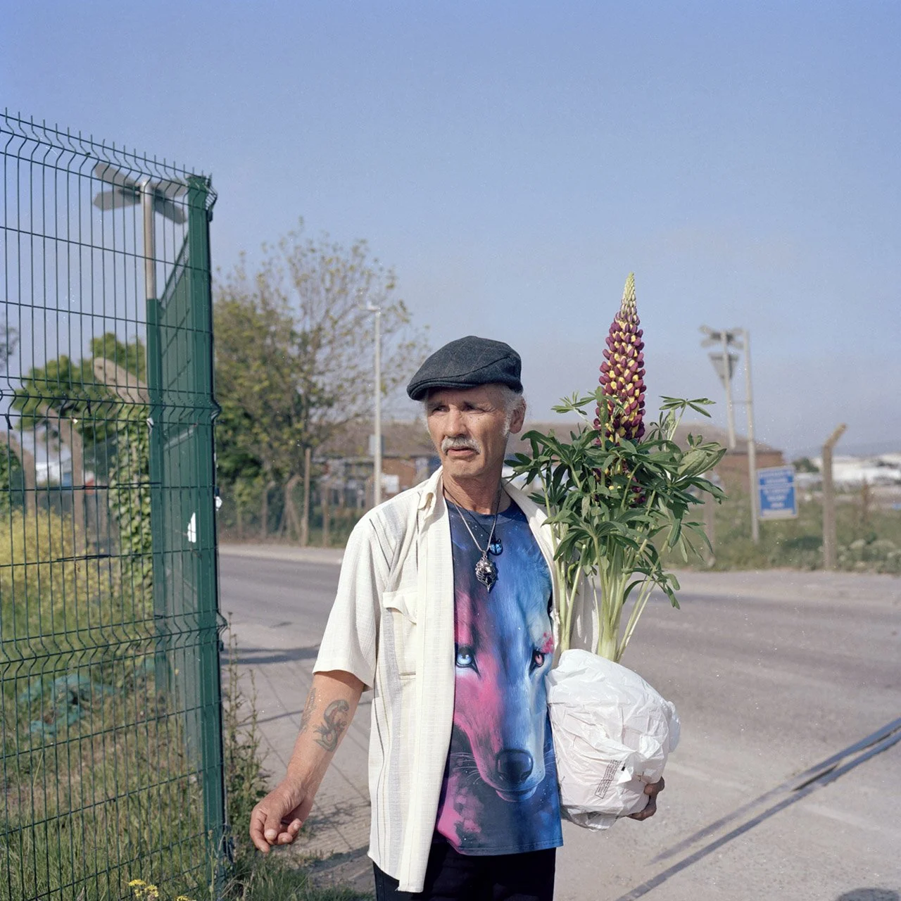 An elderly man with a gray mustache and tattoos on his arm, wearing a black beret and a wolf-themed T-shirt, stands outdoors near a street with a fence and trees in the background. He holds a large plant with tall pink and yellow flowers wrapped in w