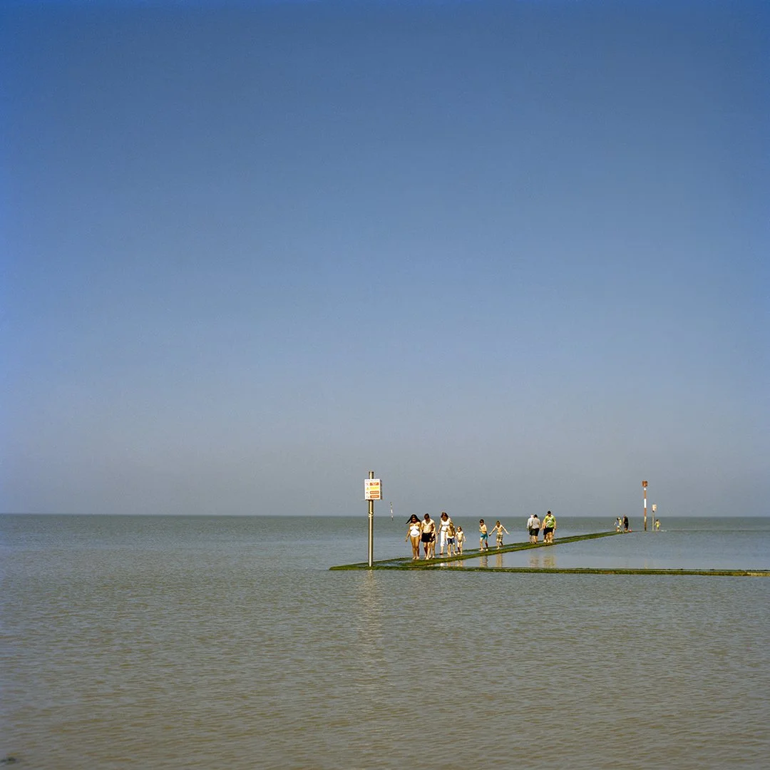 Tidal Pool (2018)