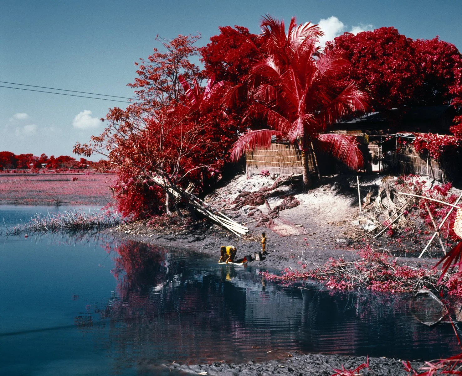 Two children playing by the riverbank surrounded by vivid red trees and plants with a clear blue sky above.