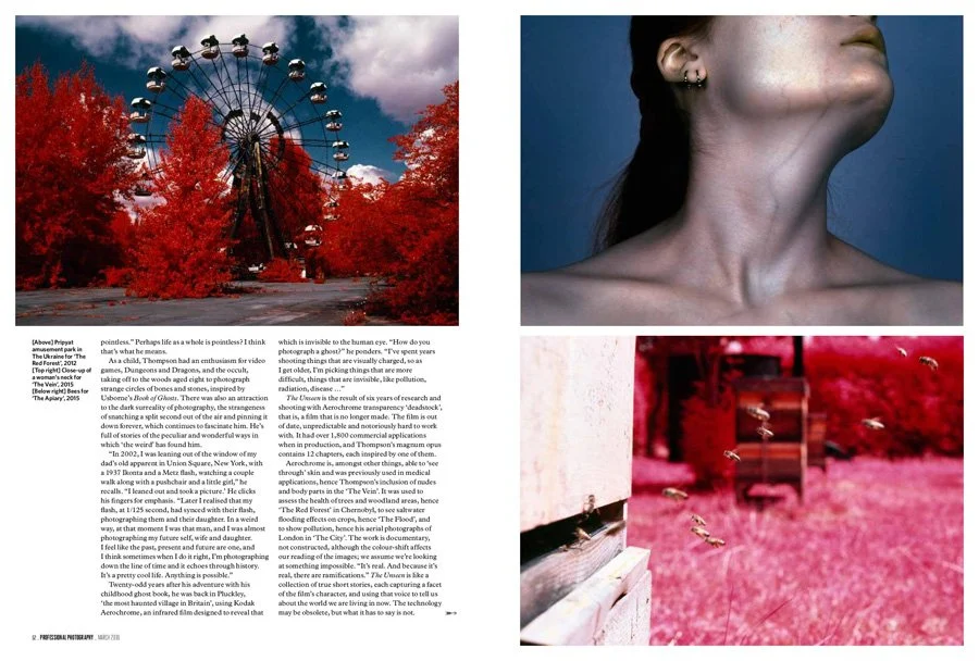 Four images: a Ferris wheel against a blue sky with red trees, a close-up of a person's neck and chin with dark hair, a white toilet with a red floor, and a red room with a bed and flying insects.