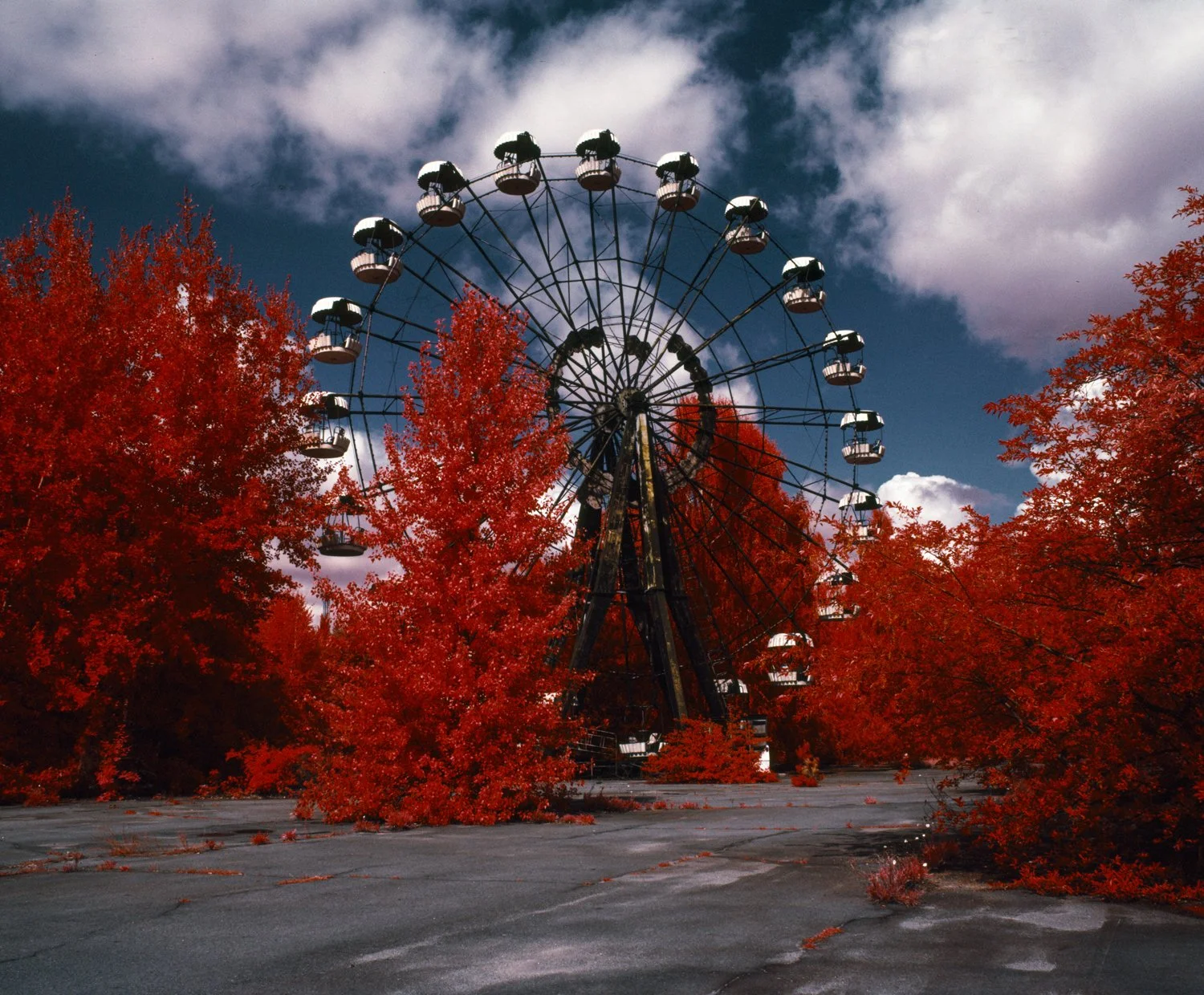 An abandoned Ferris wheel surrounded by red trees against a partly cloudy sky.