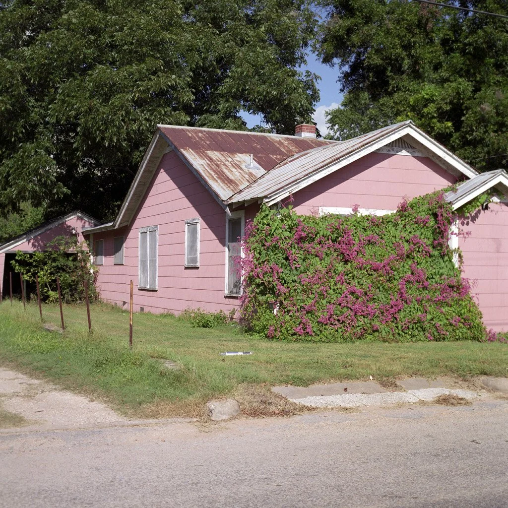 Pink house with a rusty metal roof surrounded by greenery and pink flowering bushes, situated near a gravel road.
