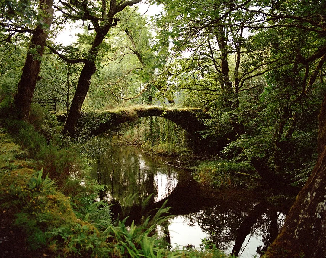 The Bridge Of The Initiate (2025)