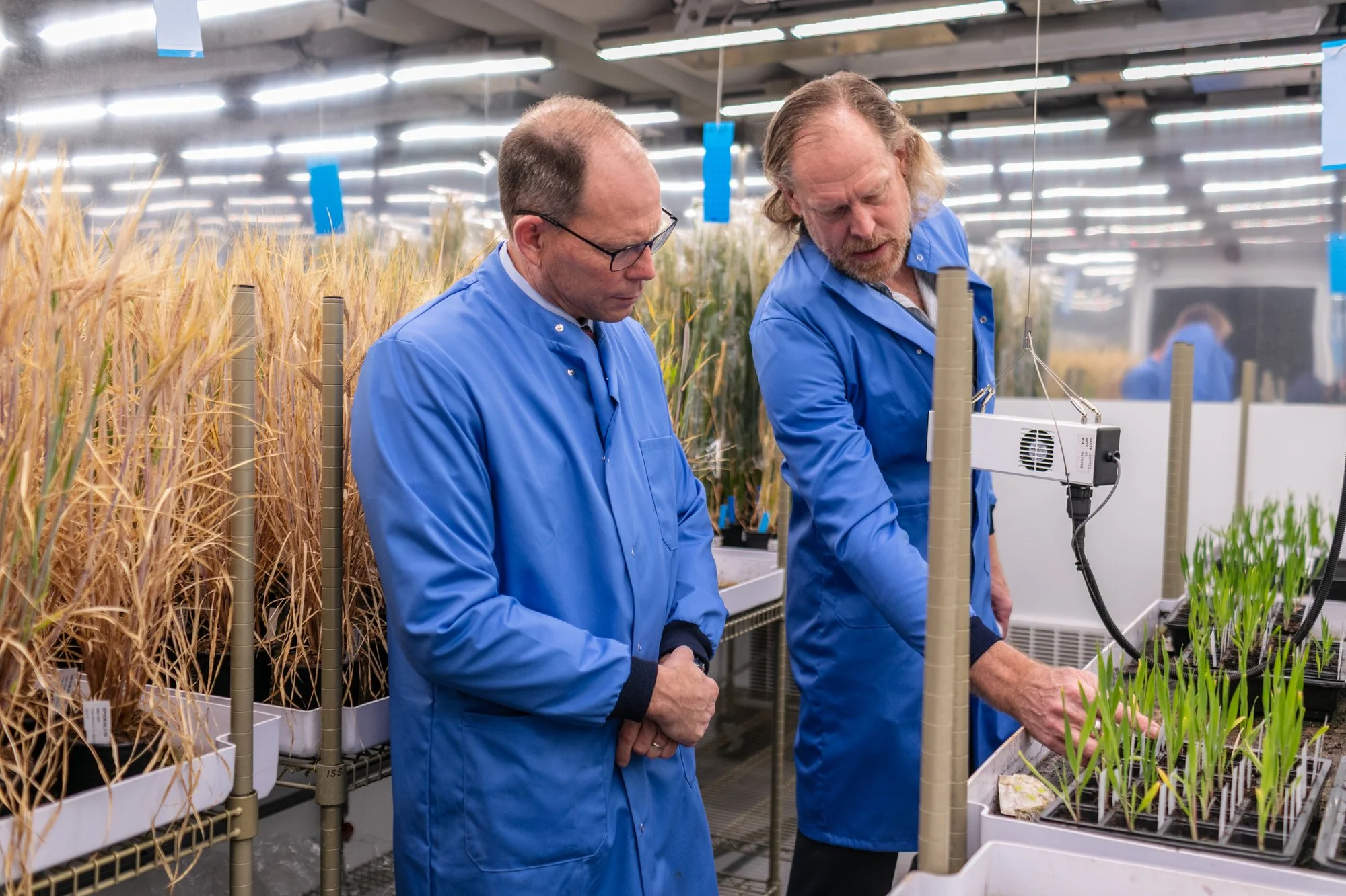 Two men in blue lab coats working in a laboratory with plants and scientific equipment, examining plants placed on trays.