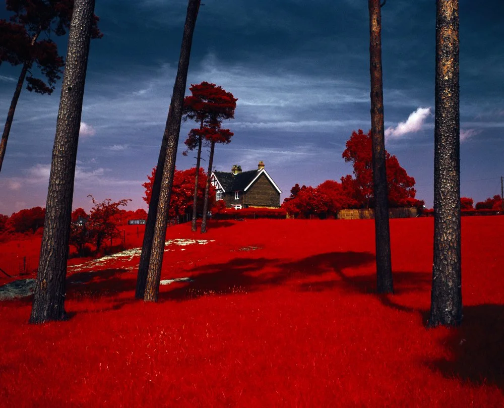 The House On The Hill (2011)