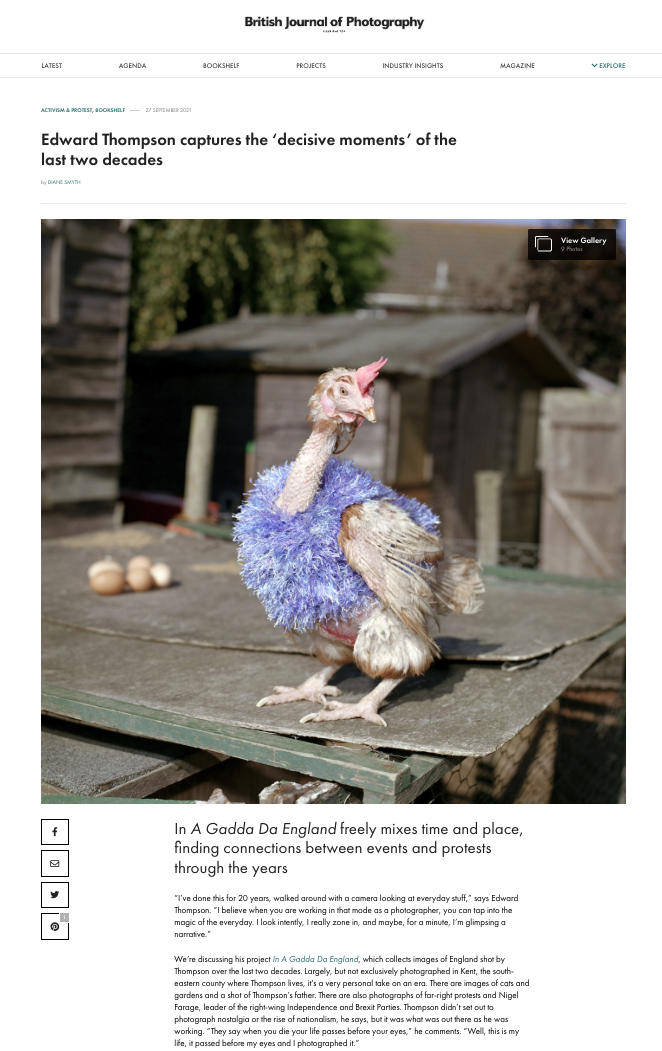A turkey standing on a wooden surface with eggs in the background. The turkey is wearing a purple feathered costume.