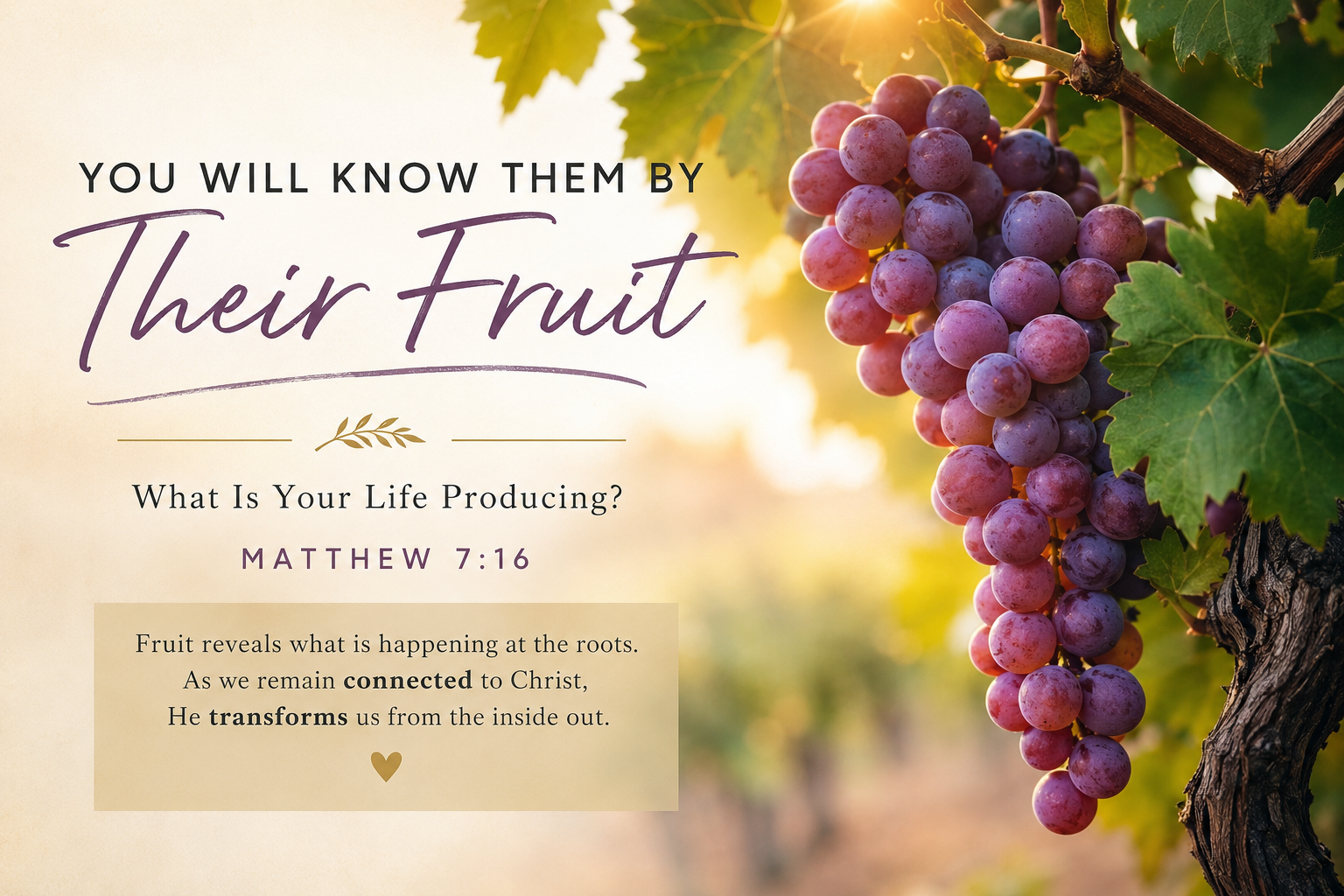 You Will Know Them by Their Fruit: What Is Your Life Producing? 
