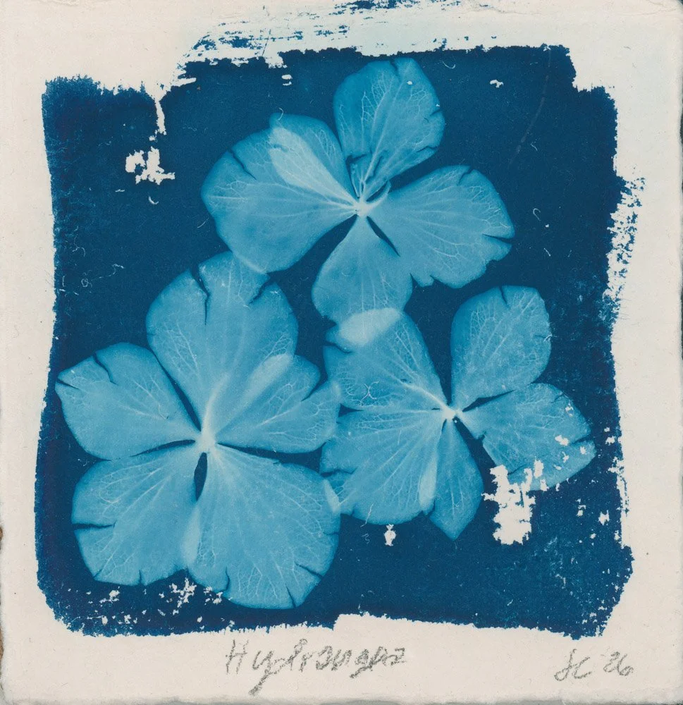 scan557.jpg
