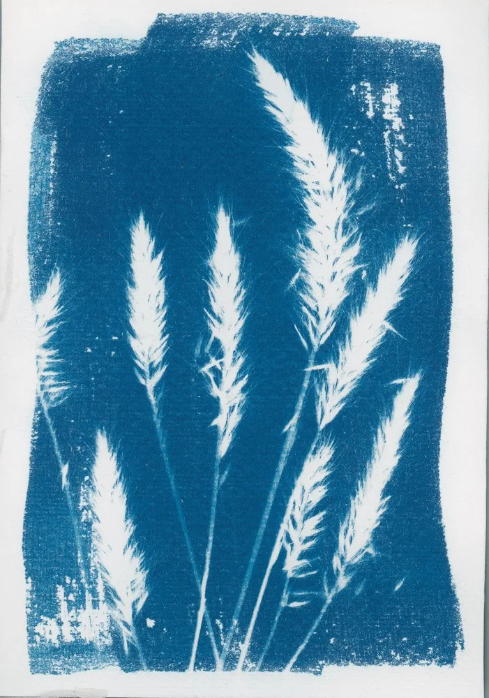 scan558.jpg