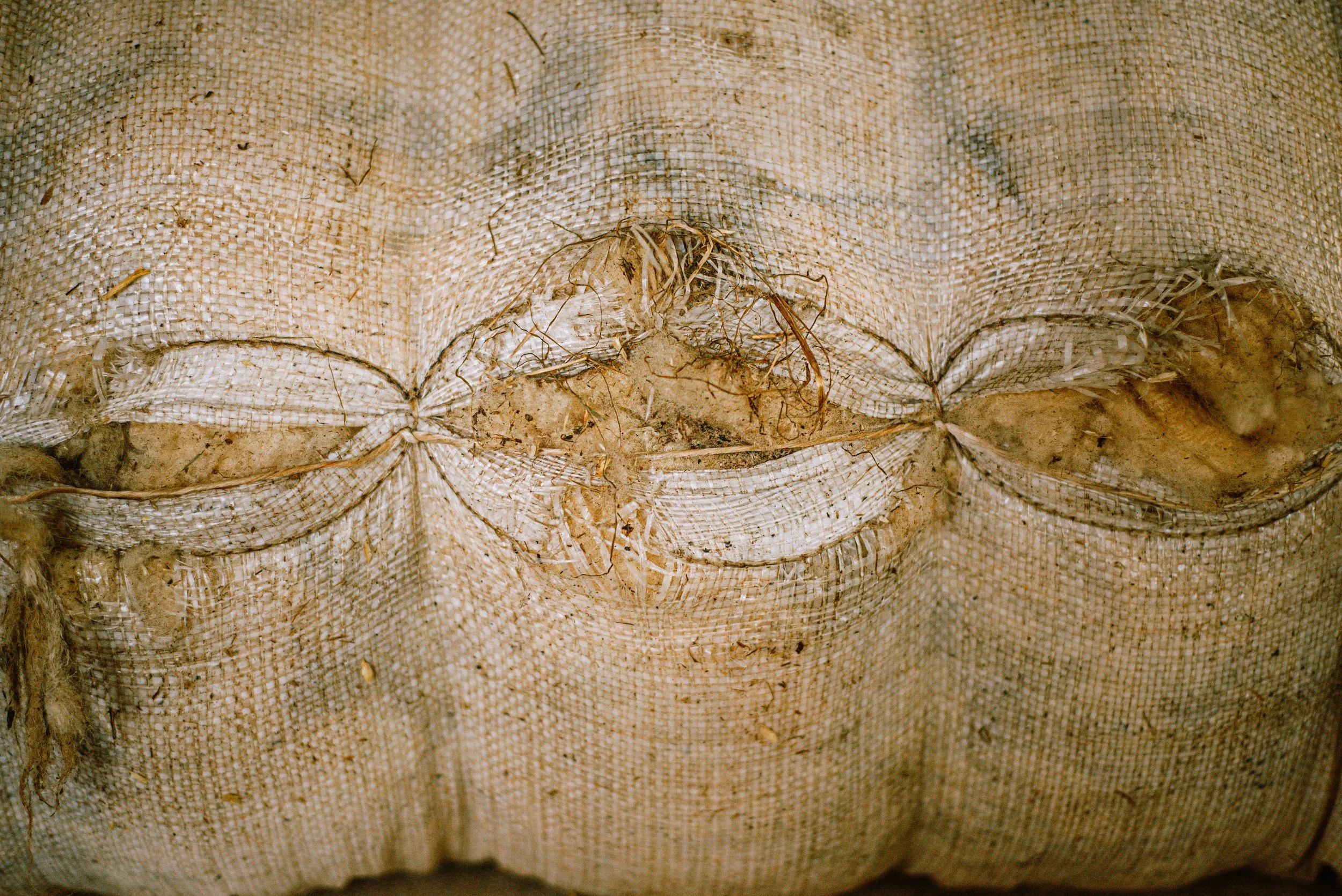 Close-up of a woven fabric bag with dirt and small roots inside.