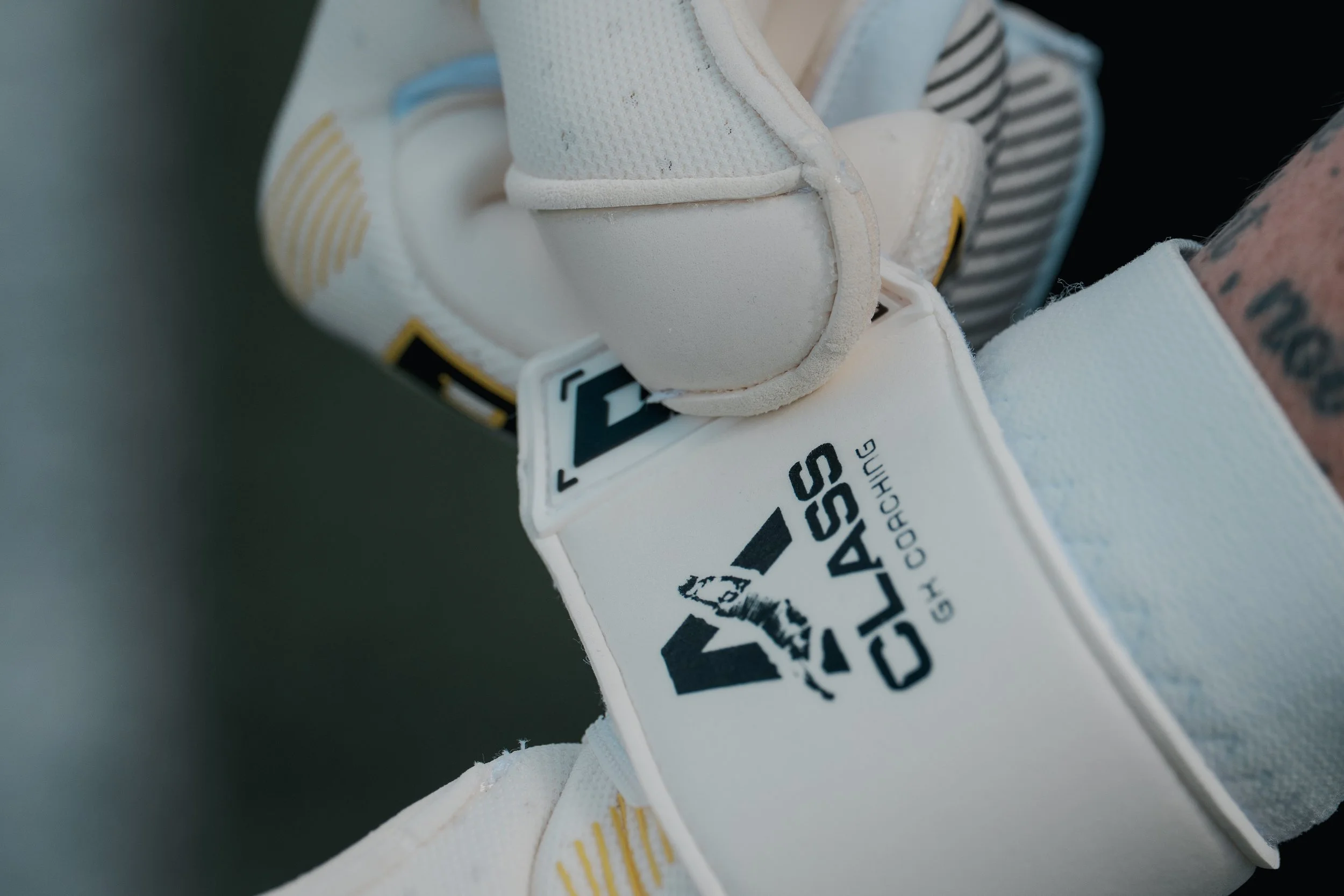 DSC05508.jpg
